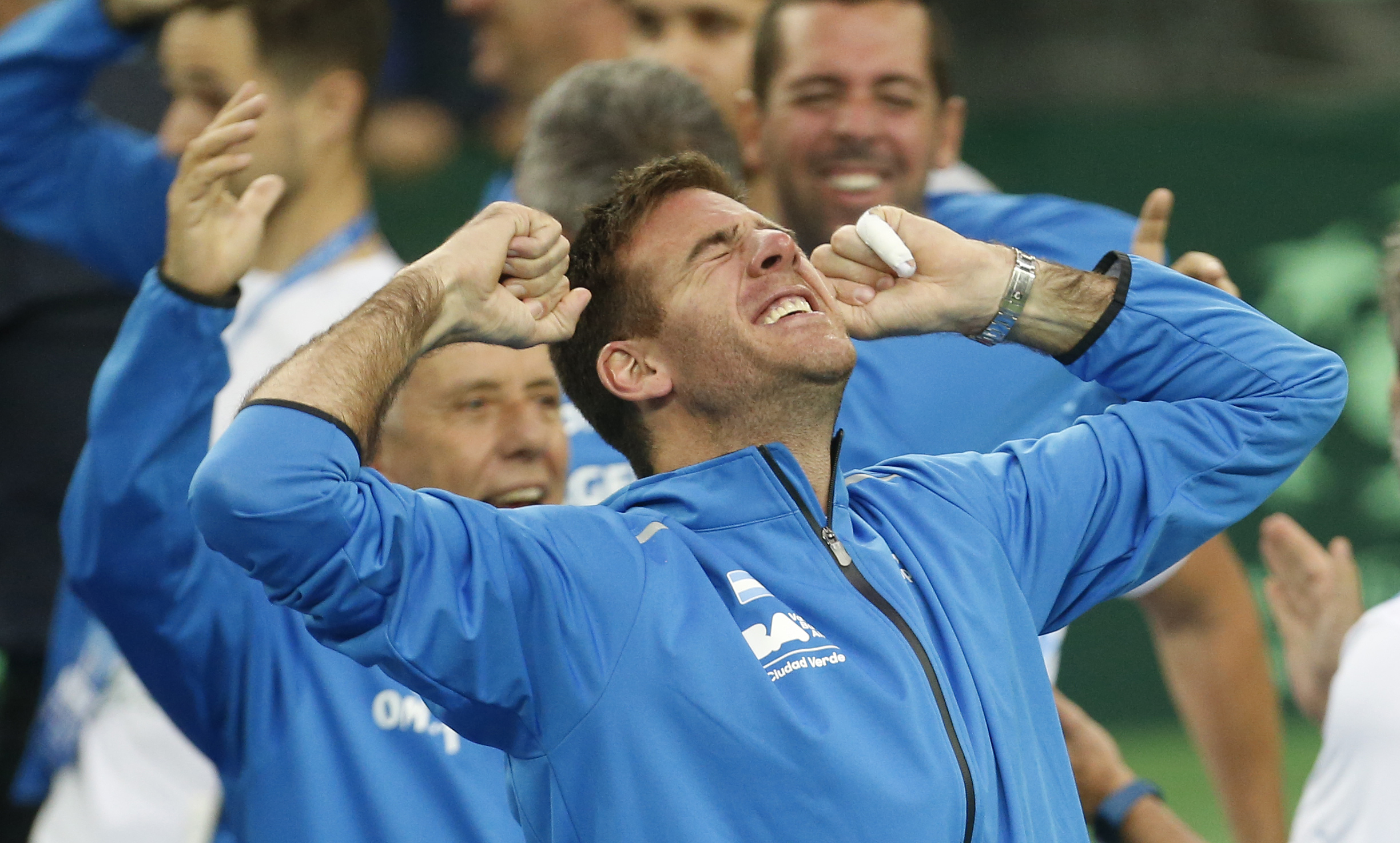 傷癒復出創佳績　del Potro：還好沒退休