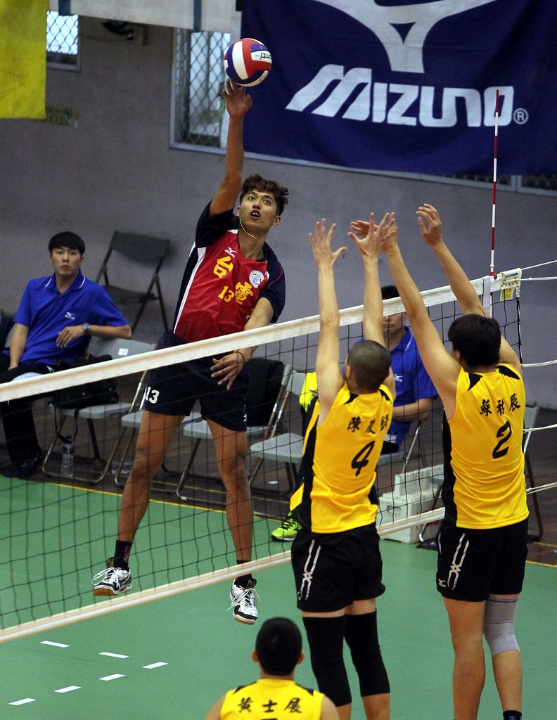 台電男、女排　例行賽連霸成功