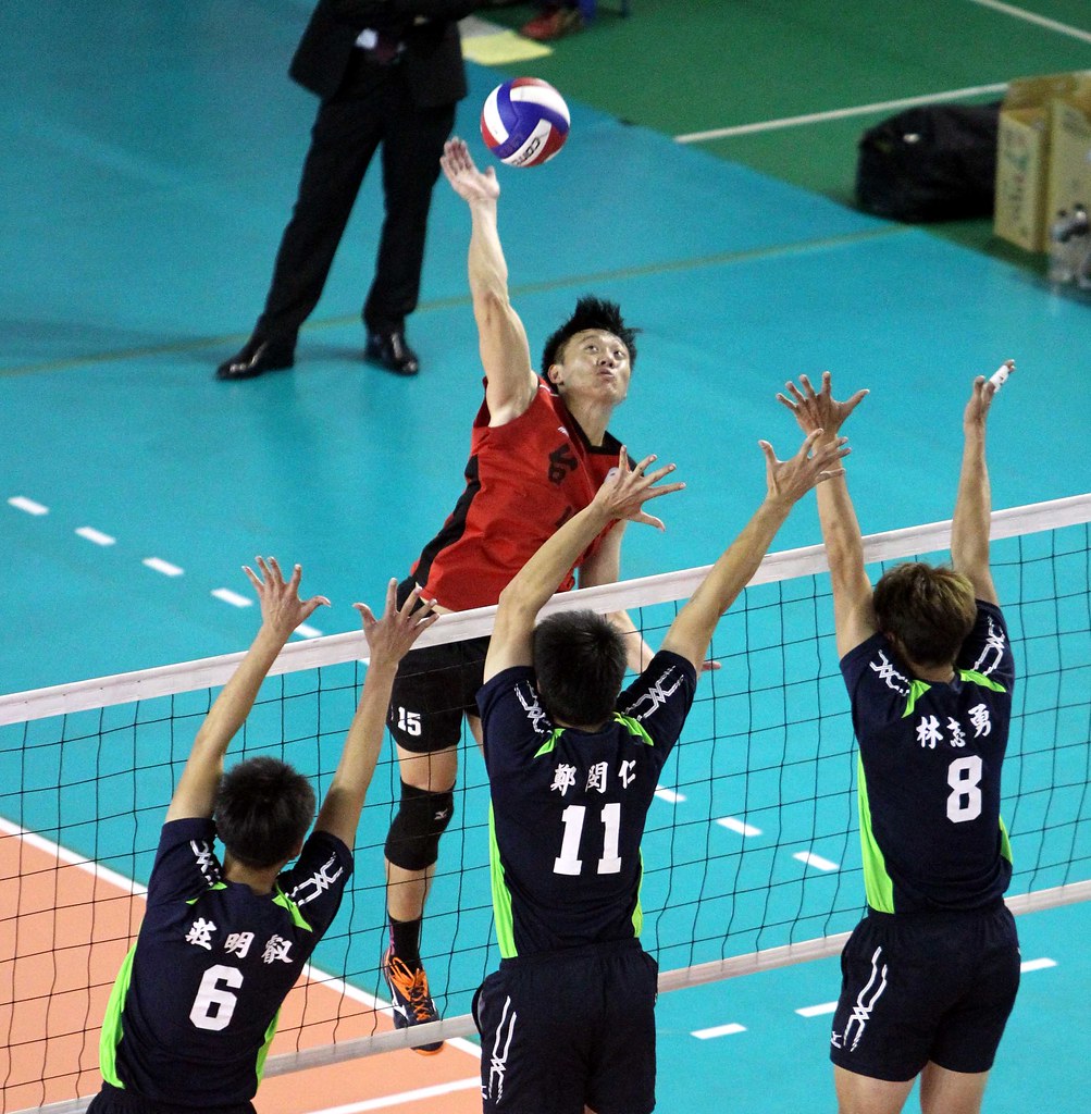 台電男女排爭冠　MIZUNO、中纖攔路