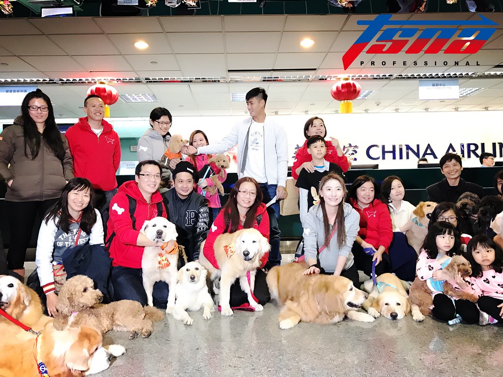 陳偉殷返美　帶毛小孩尋找新生活