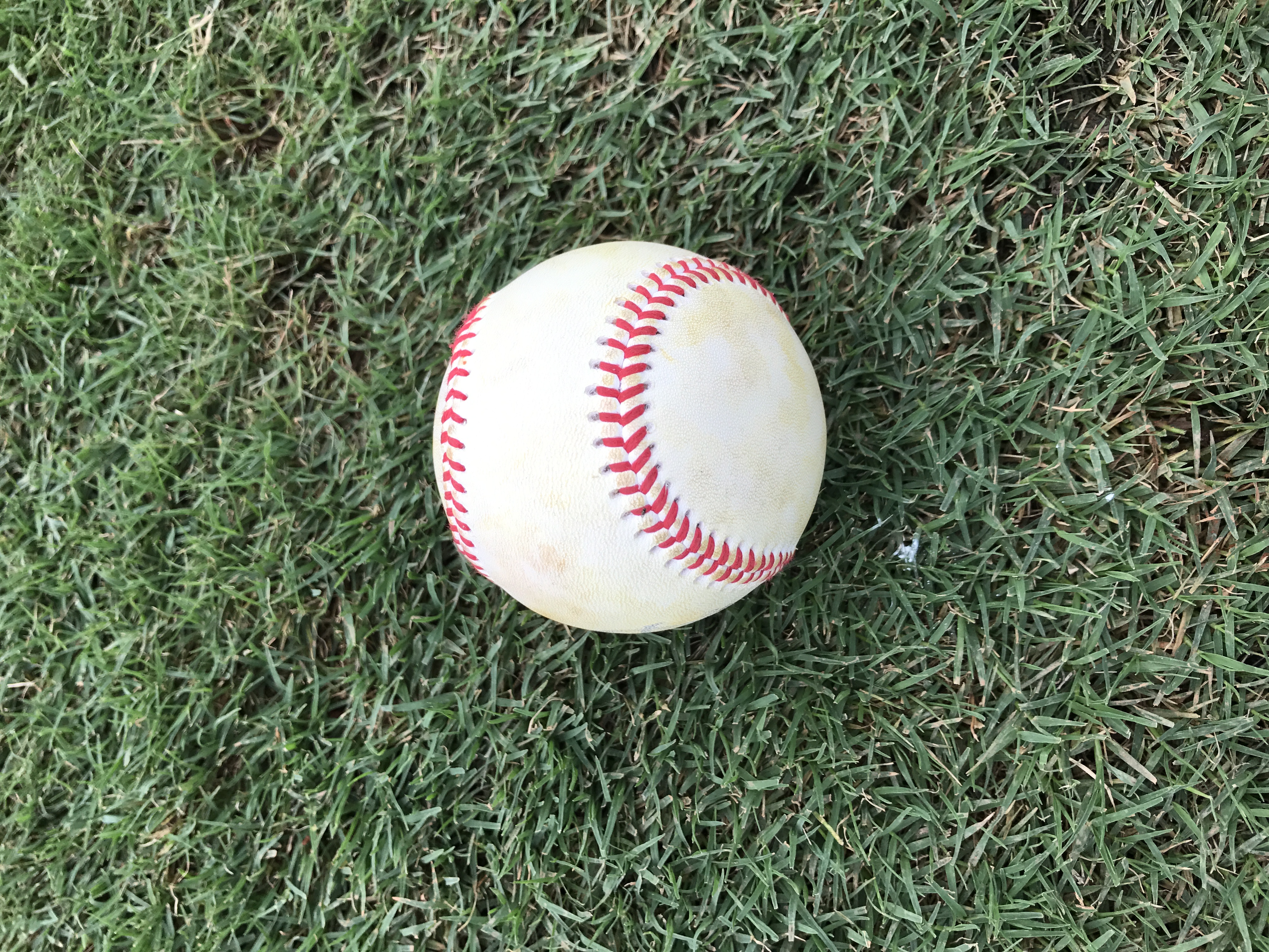 Correa仍堅稱　太空人先偷紅雀資料