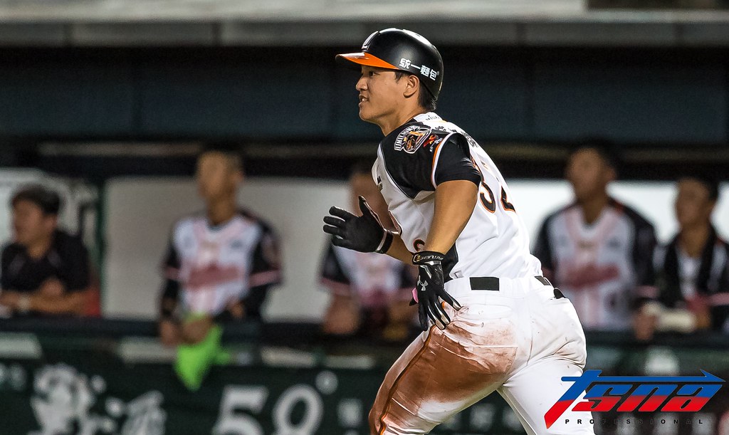 狀元成職業貓奴　蘇智傑假日陪家貓8小時