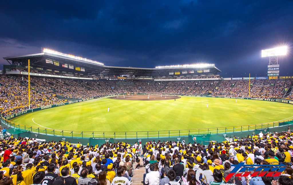 阪神例行賽最終戰　主場輕取中日