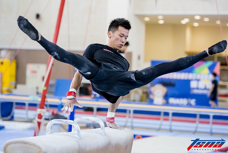 奧運金牌才相襯　李智凱價值可比國寶 