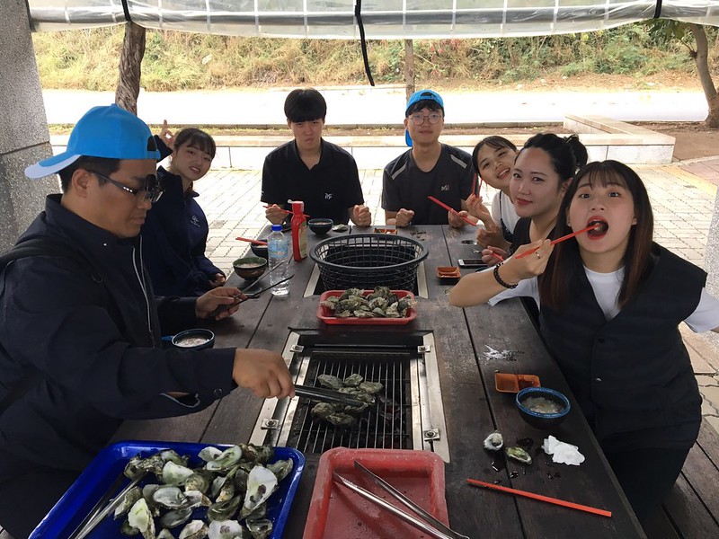 受理事長之邀　韓國學生初體驗獻給菊島馬