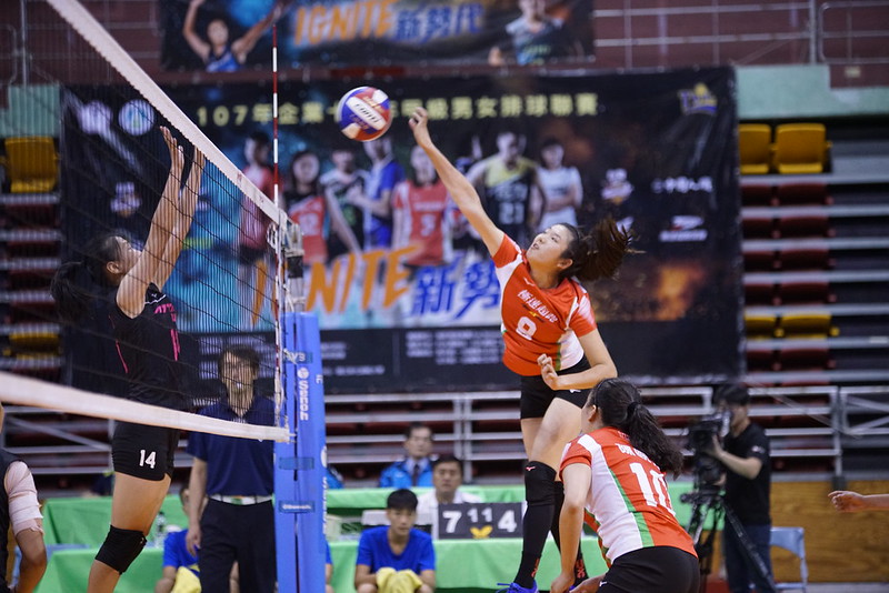 極速女排隊史首勝到手　許淑淨現身排球場