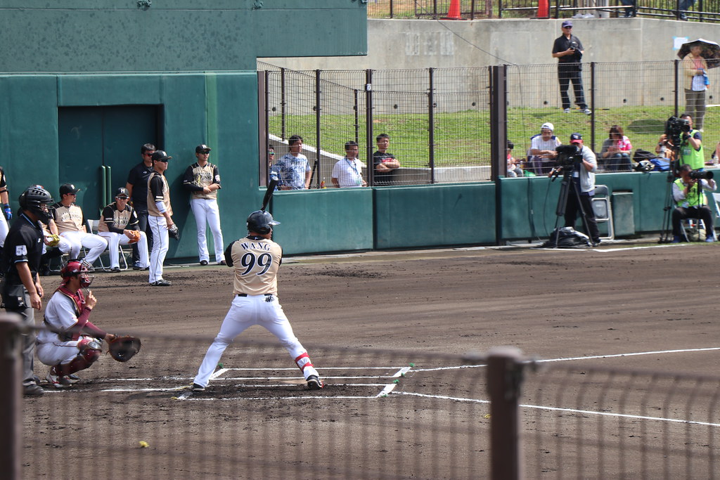 王柏融手感火燙　侍日本國家隊全面關注
