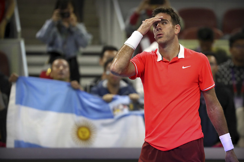 del Potro贏球後退賽　謝淑薇輸給搭檔後再聯手