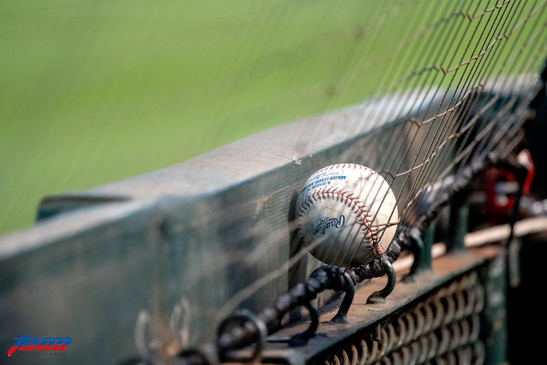 長谷川勇也驚傳確診　軟銀與西武之戰急喊卡