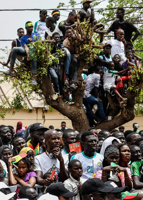 球迷為了看清螢幕甚至爬到樹上。（AFP授權）