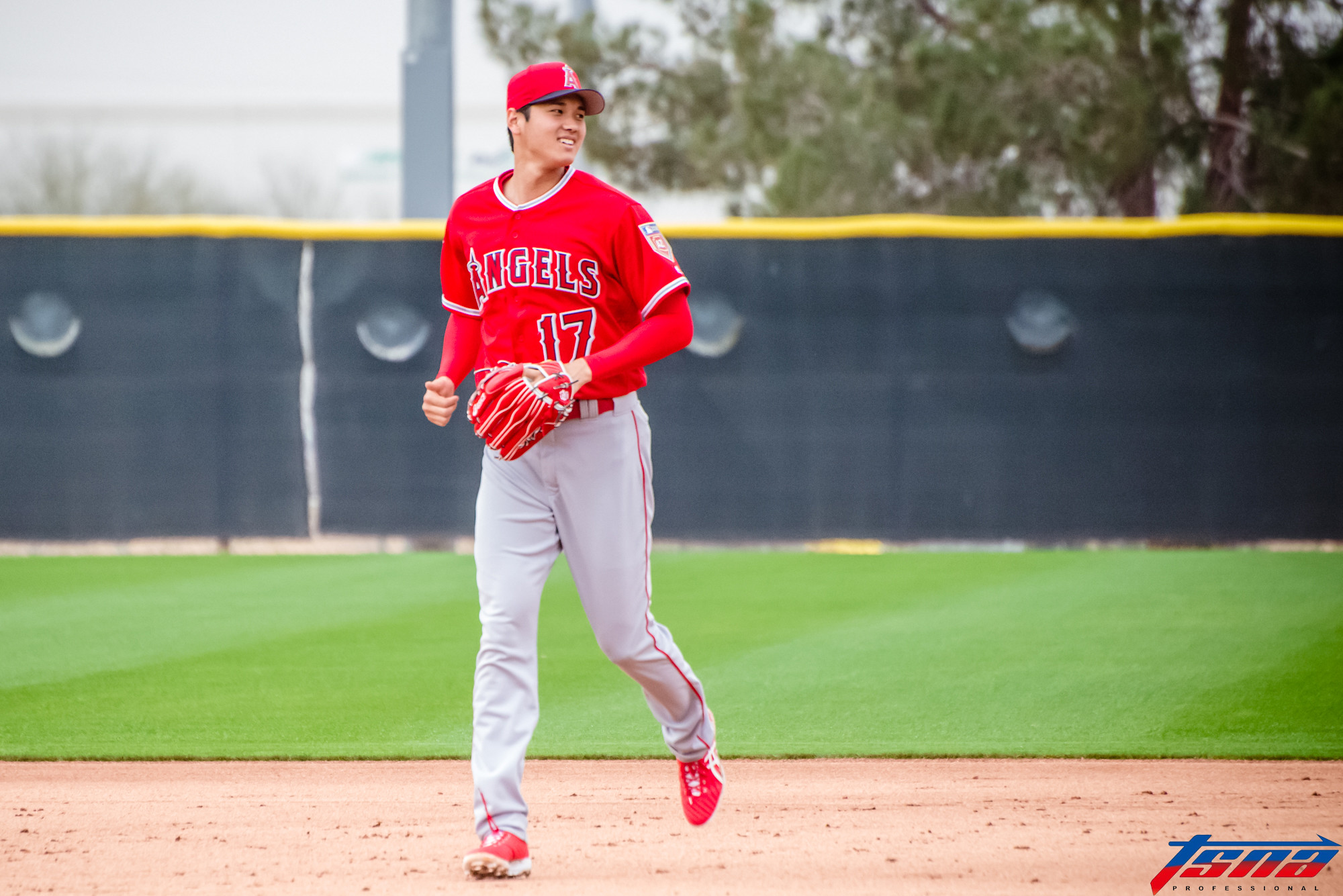 MLB全面改採DH制在望　日媒：給大谷翔平的喜訊
