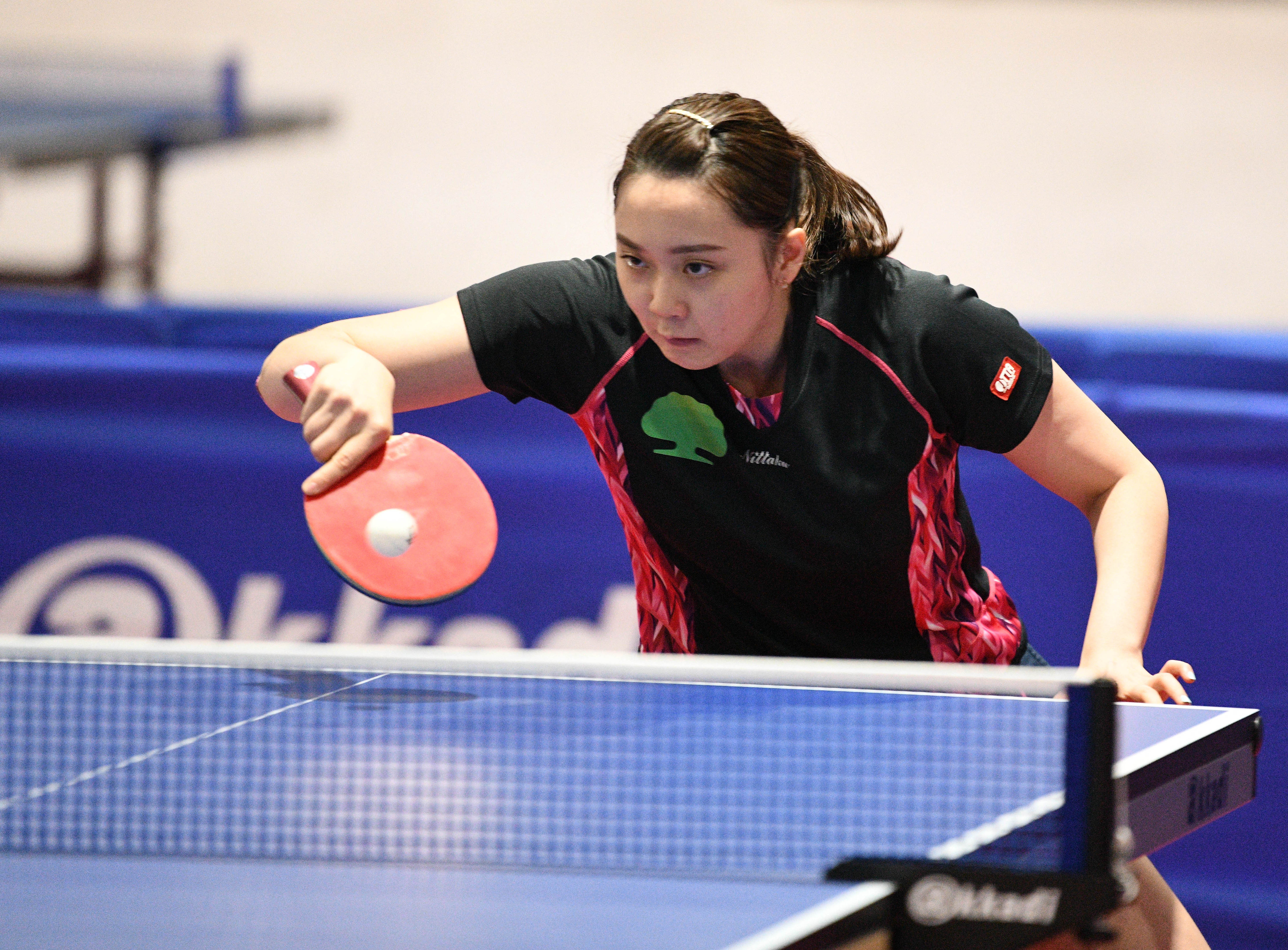 WTT大滿貫正賽開打　鄭先知爆冷負地主新星無緣32強