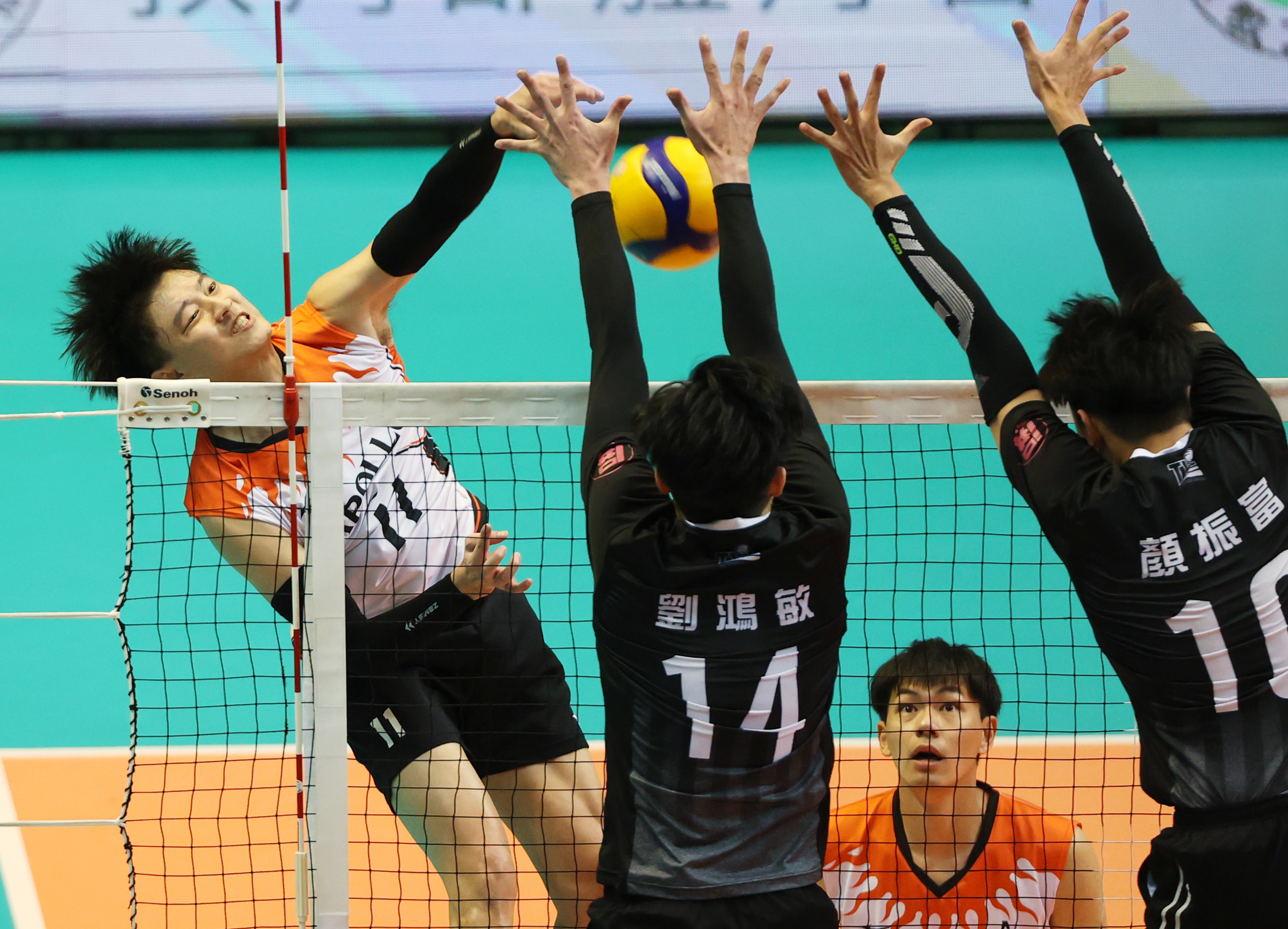 企排男子總冠軍賽台電拔頭籌　李鎮鰻：攔網設定成功