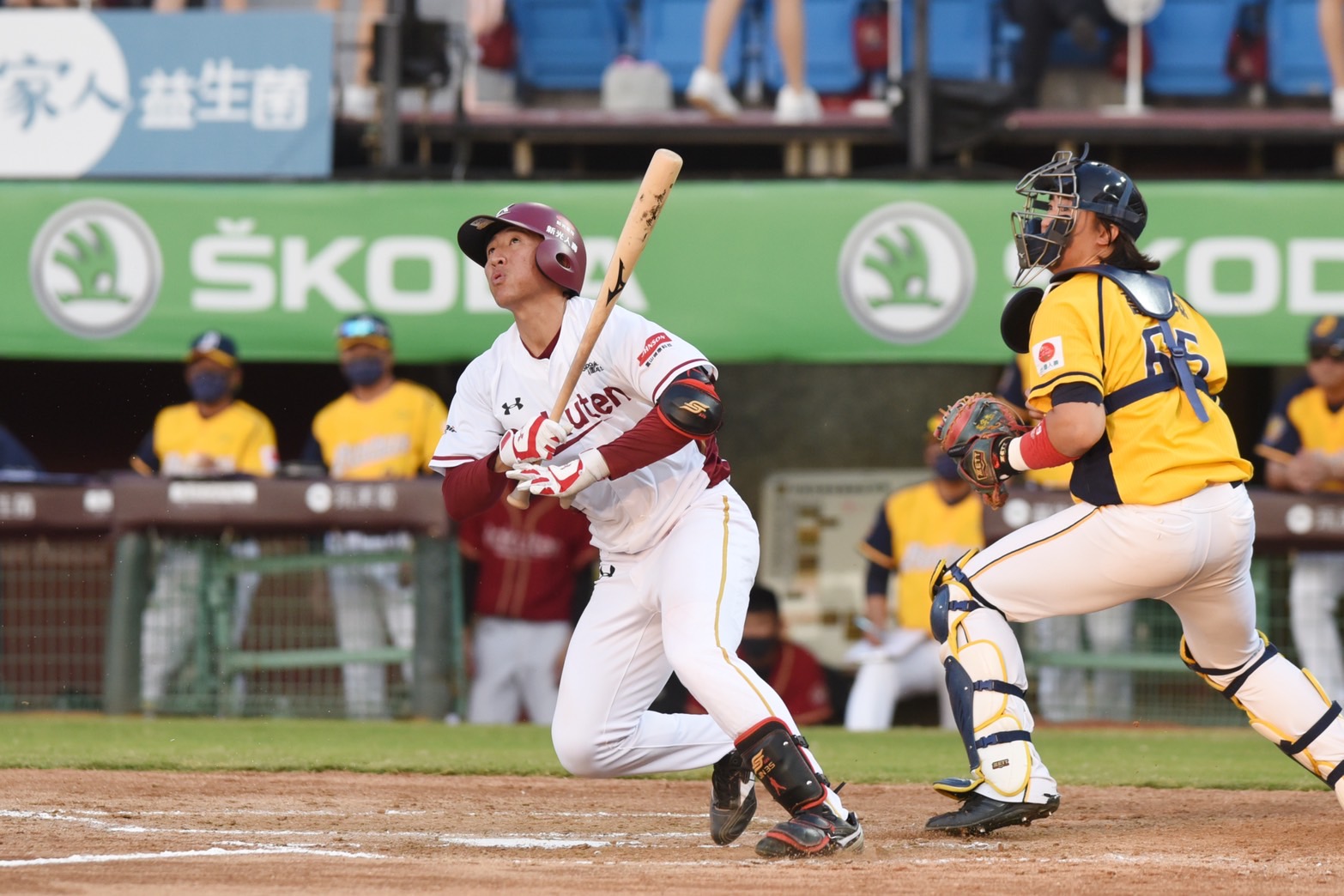 觀察前後任盜壘王陳晨威、林立　成晉展現企圖心