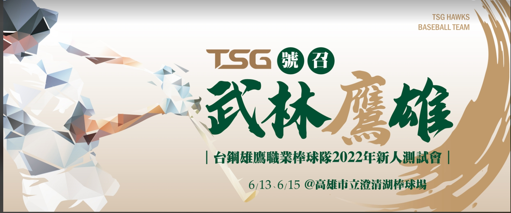 台鋼雄鷹測試會6月高雄登場。（台鋼雄鷹提供）