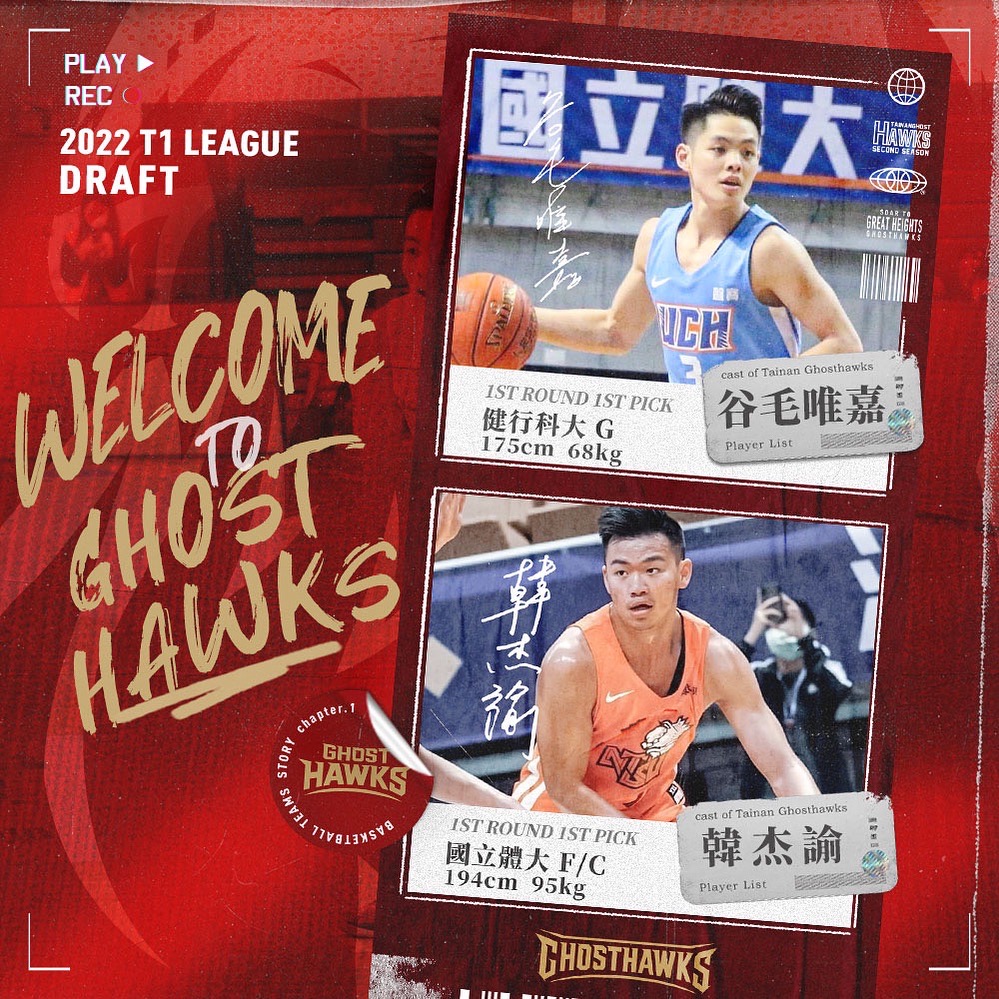 把谷毛當狀元大物　獵鷹期待即戰力