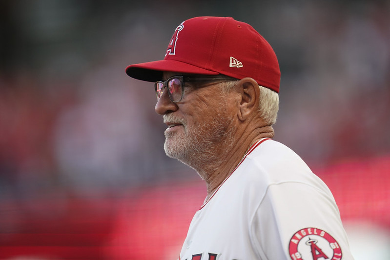 MLB總教練不再握權　Maddon：不懂棒球的在主管 - TSNA體育新聞團隊