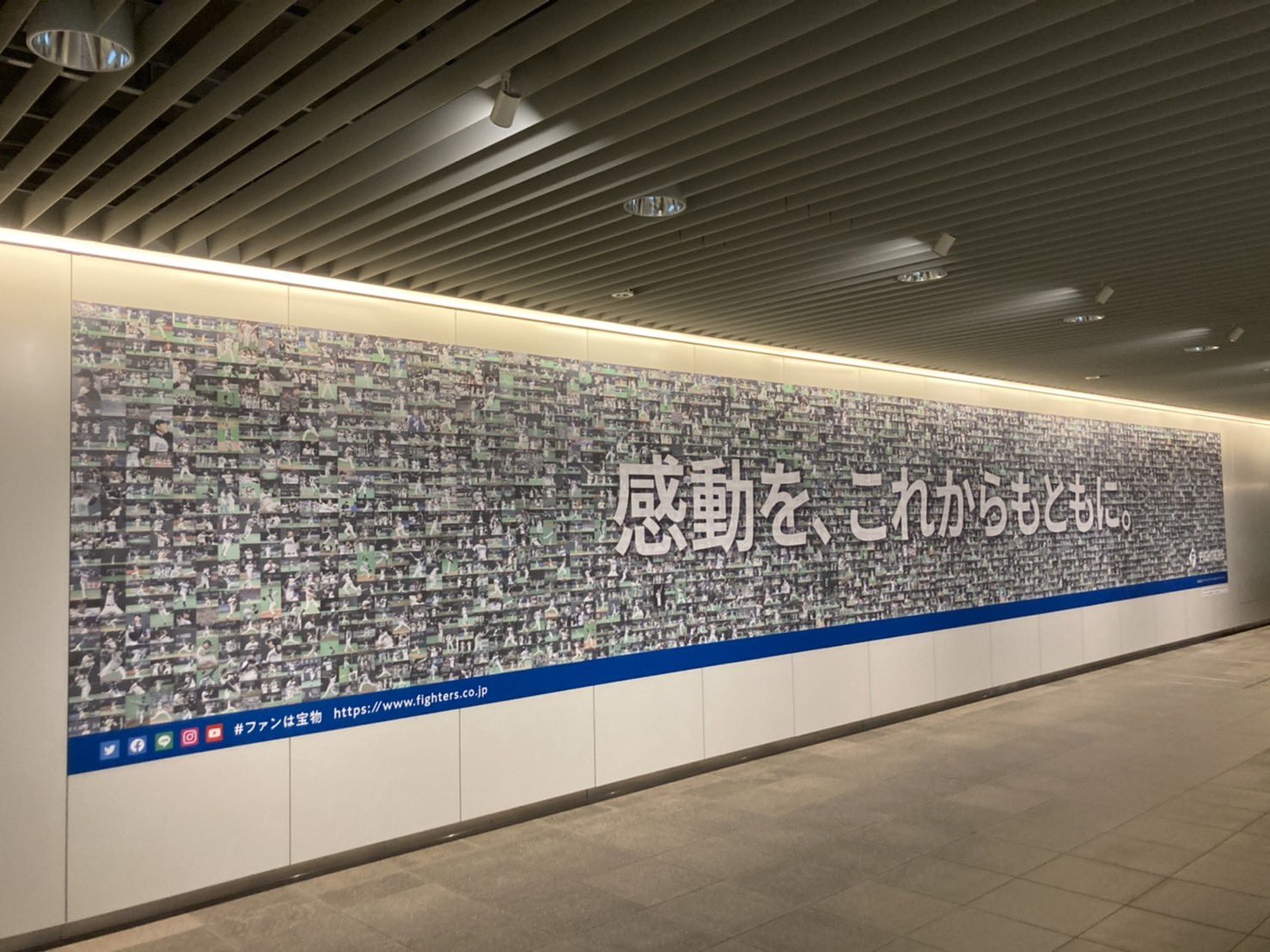 告別札幌巨蛋寫上「感動」　日本火腿在車站放置照片拚成的巨幅看板