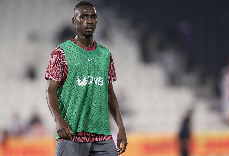 地主卡達世界盃陣容　全國內聯賽球員組成