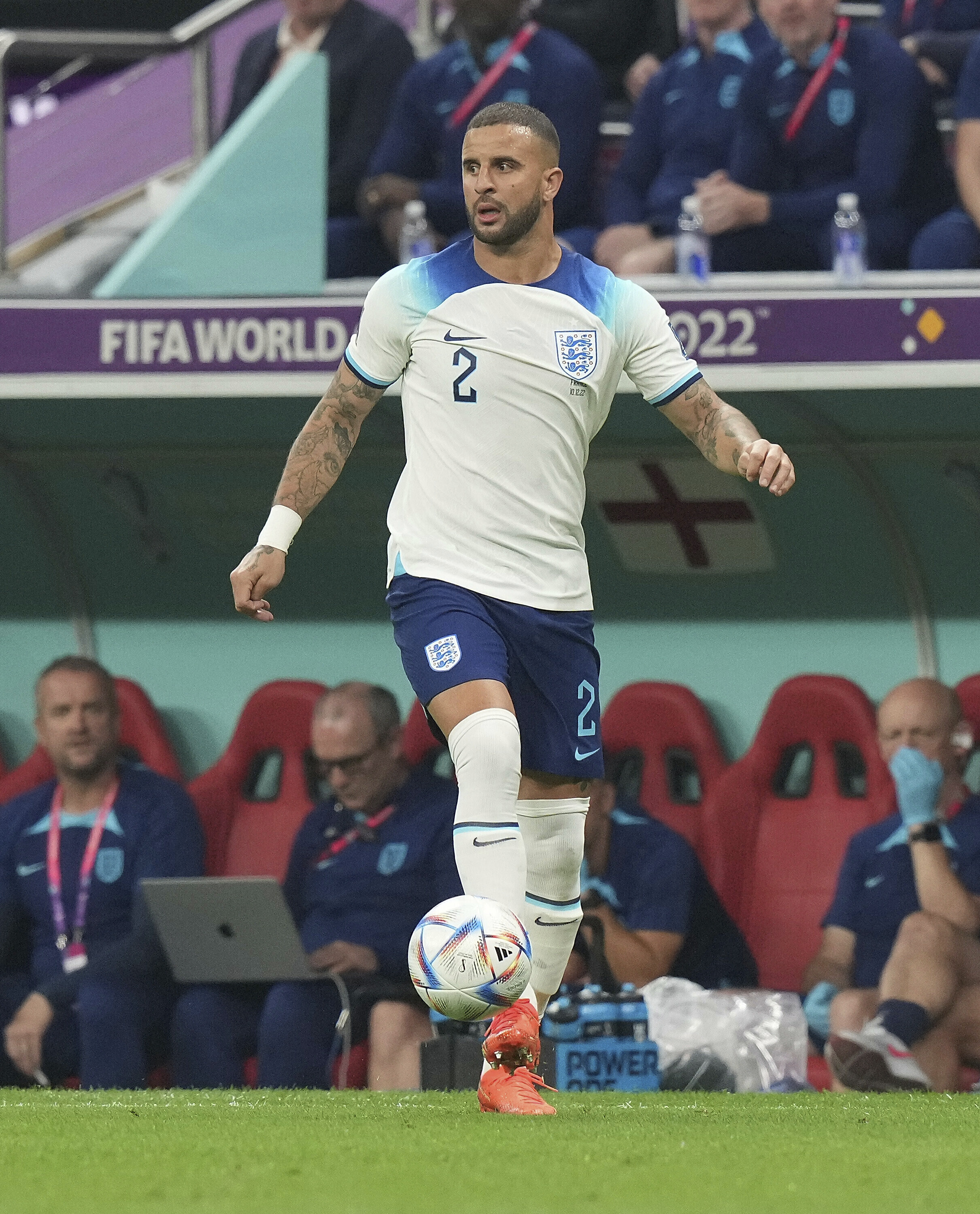 好有愛！淘汰也要信守承諾　英格蘭帶流浪「隊貓」回家