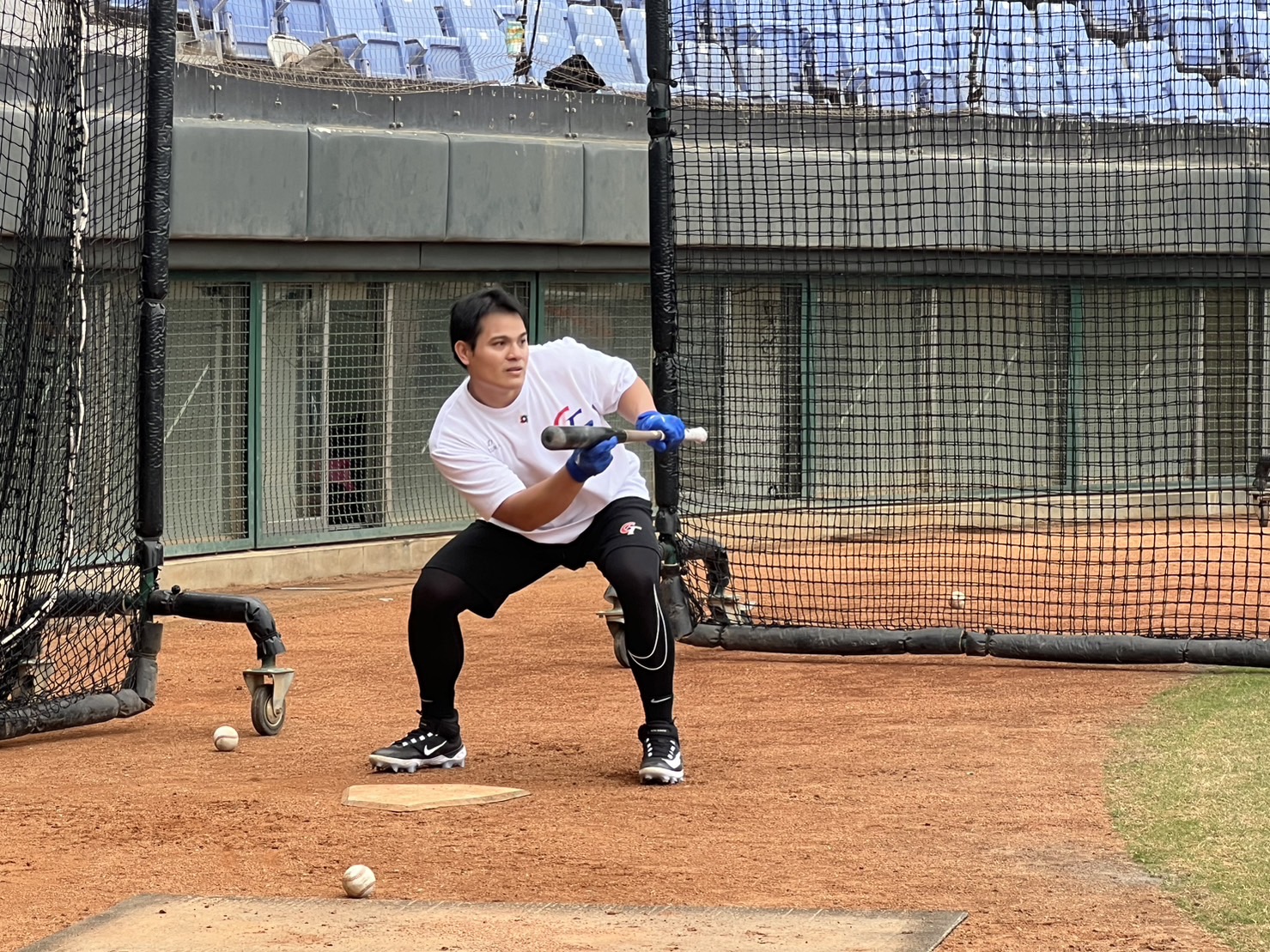 WBC》回台加入中華隊　張育成：相當榮幸