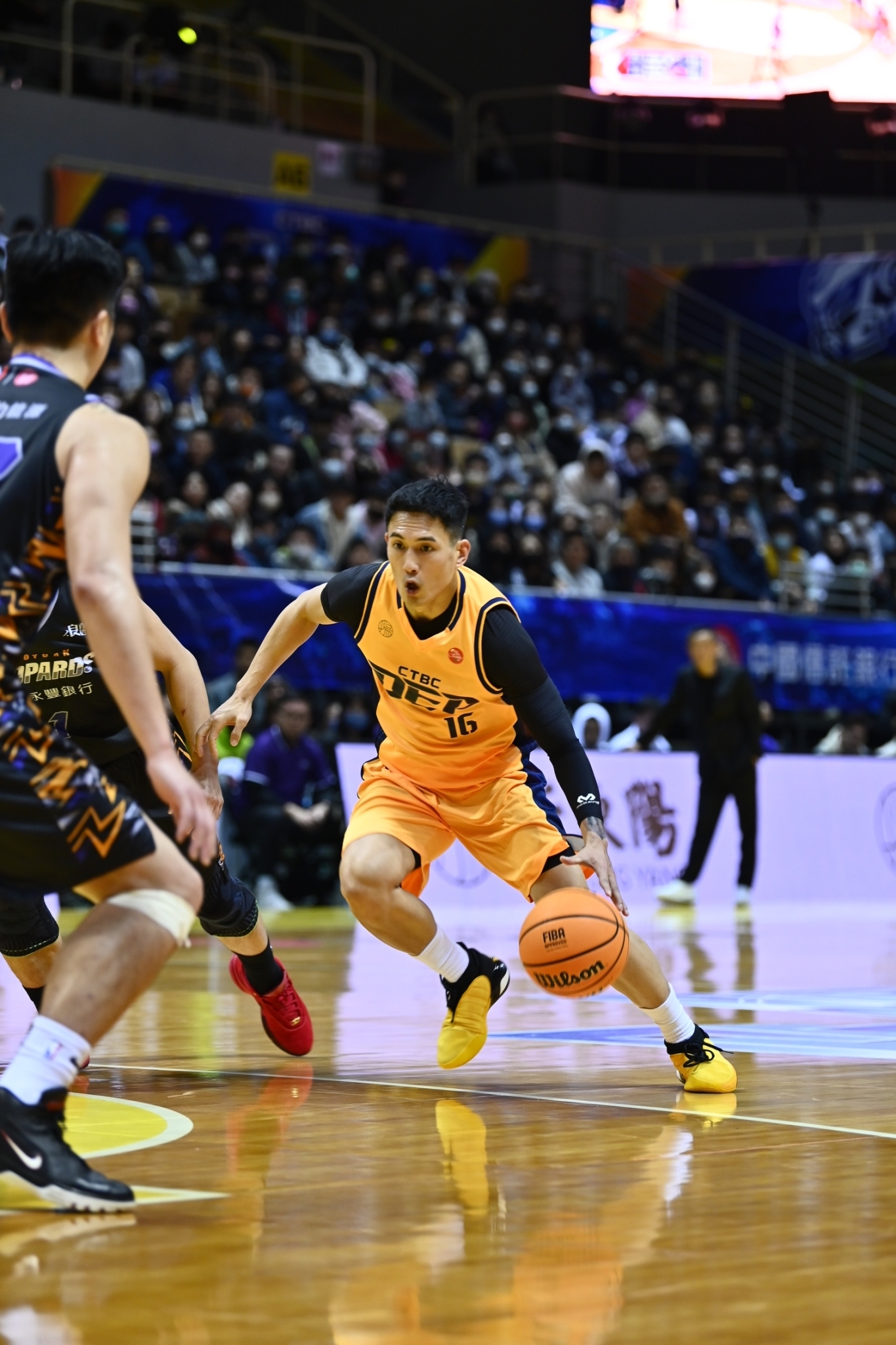 林韋翰球商高　金恩讚：比布銳克曼好