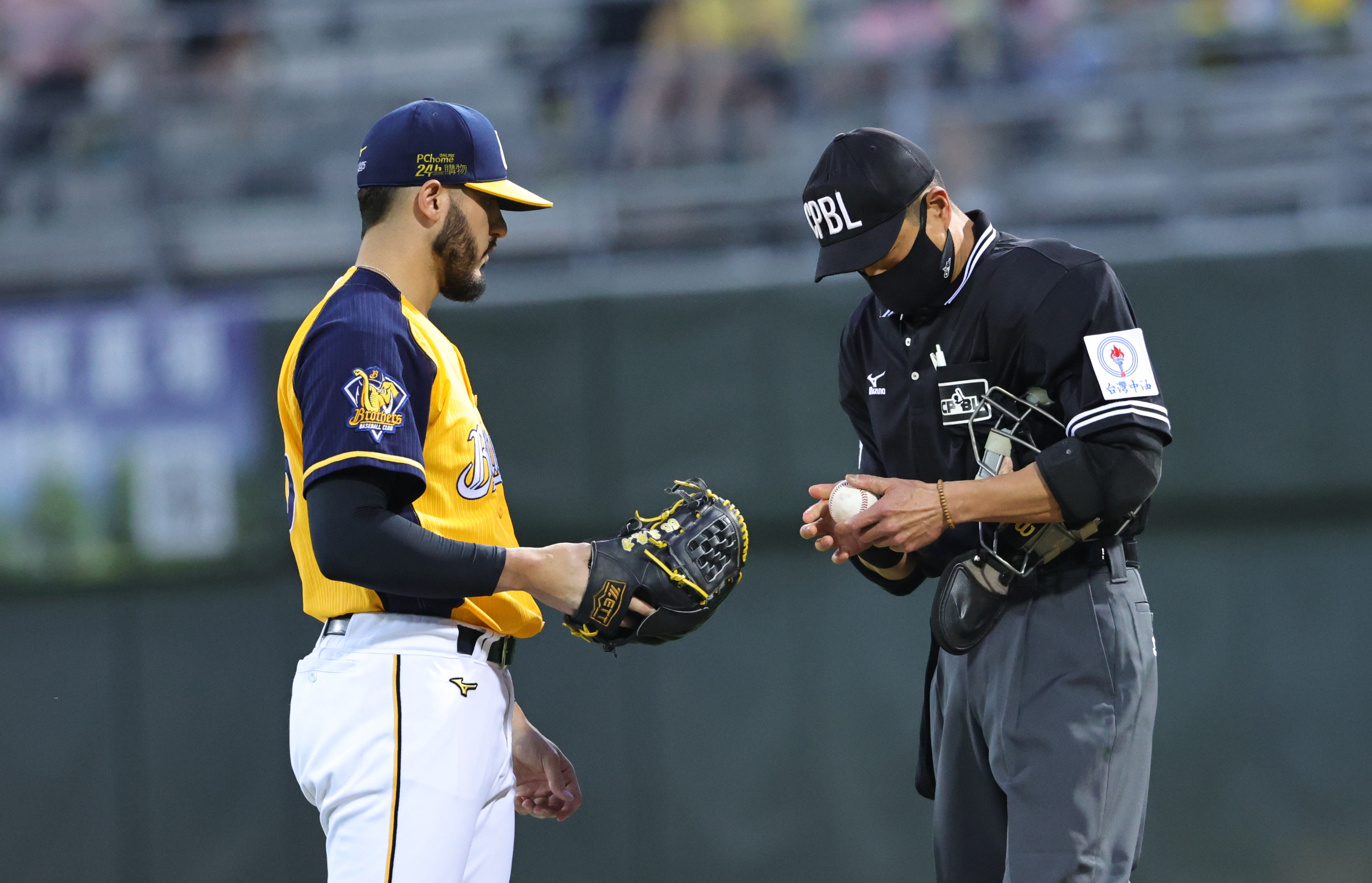 WBC》各國裁判參與盛會　中職裁判長張展榮赴日本執法B組賽事