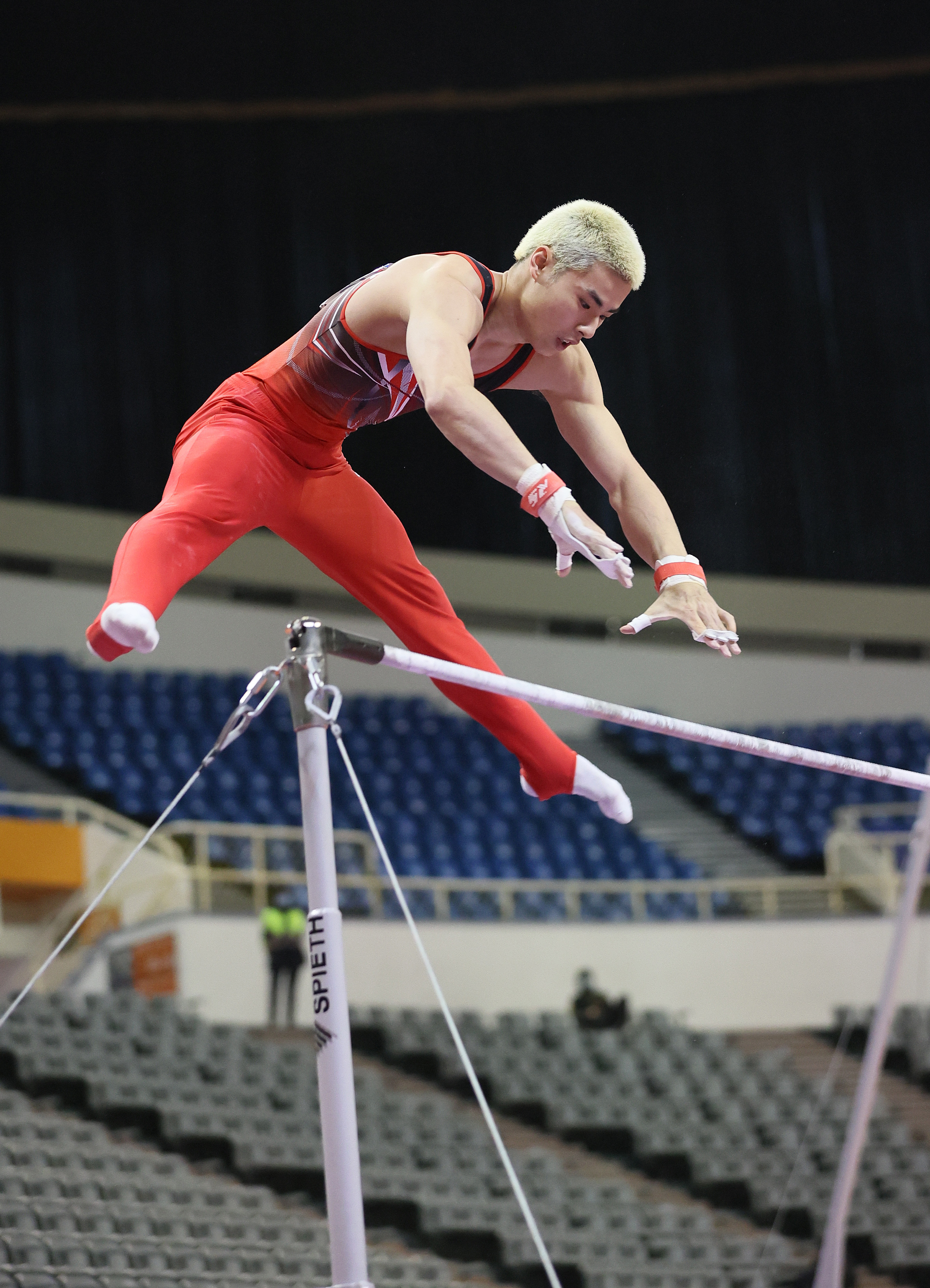 鞍馬落馬後堅持6項全勤終摘單槓金牌　葉政：再累都要比完