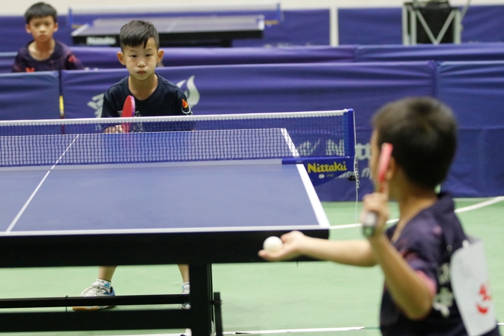 自由盃國小組團體桌球錦標賽開戰 龍埔、大有成奪冠熱門候選