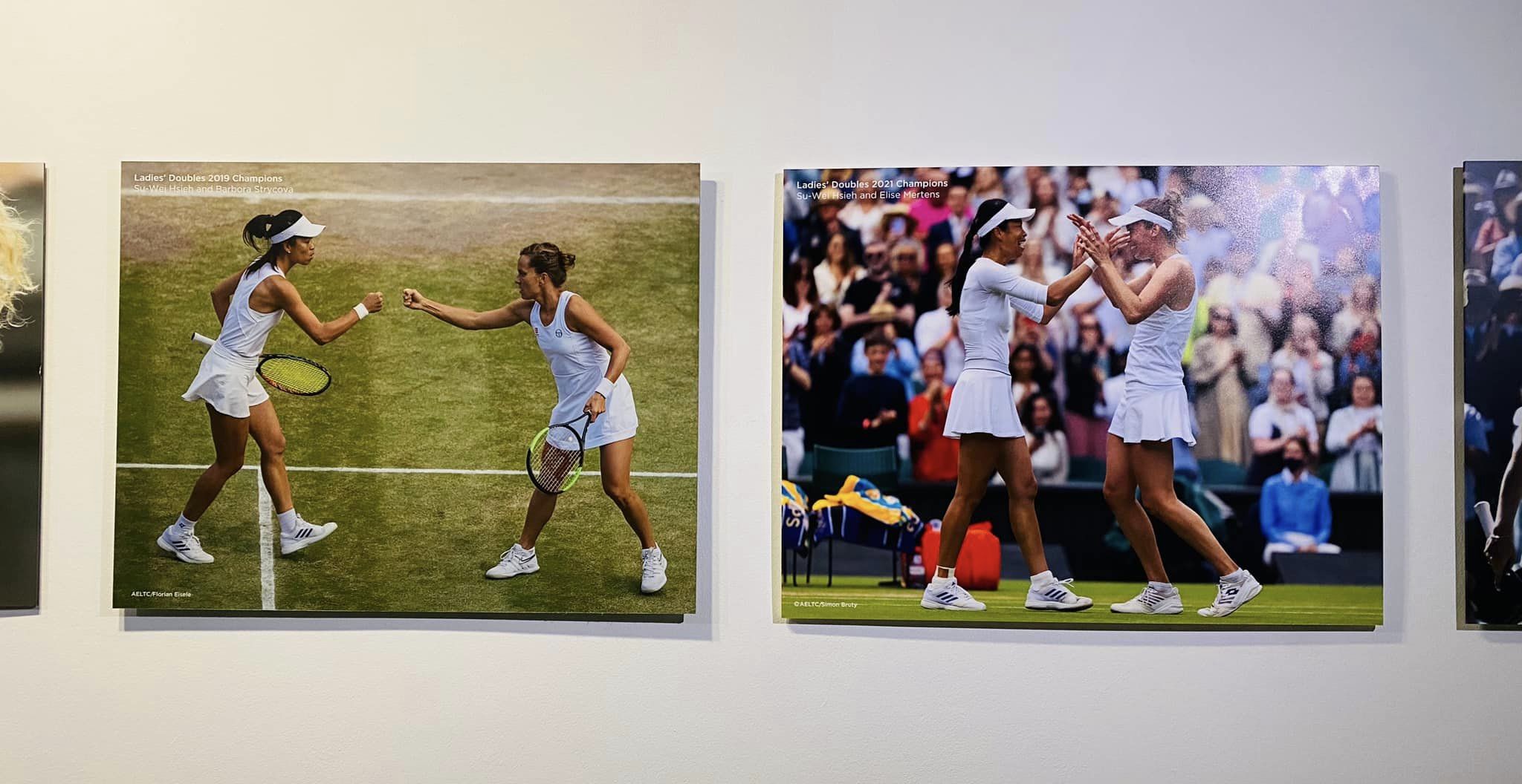 謝淑薇重返溫網　曬出女雙冠軍照片回憶