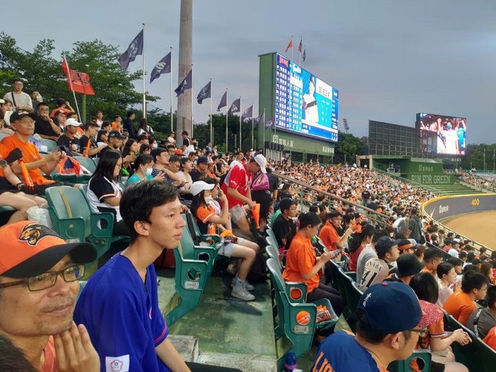 獅迷要拋彩帶！新莊4000張外野票完售