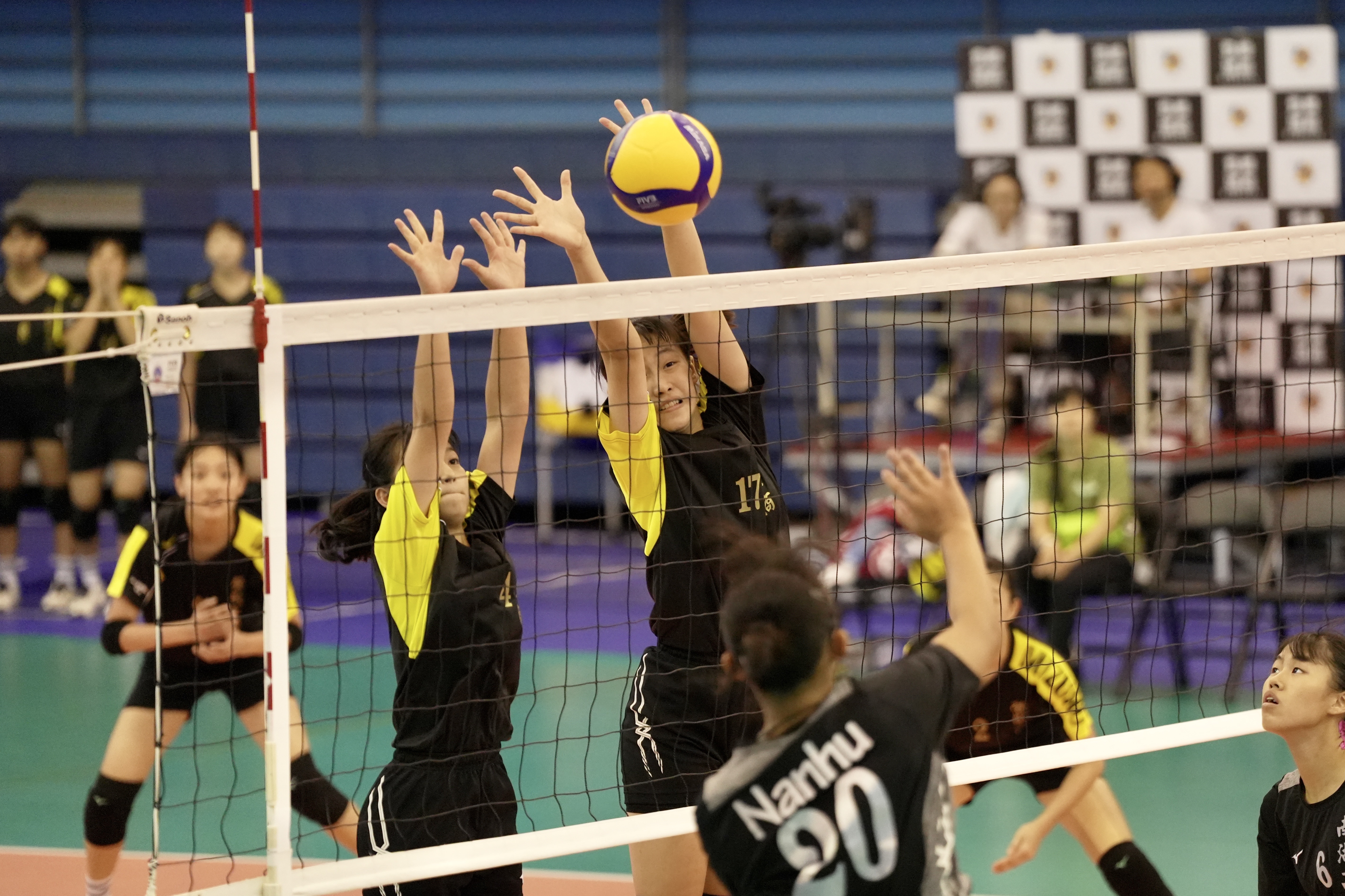 登峰造極青排賽　HVL女子衛冕軍鶯歌首戰橫掃南湖