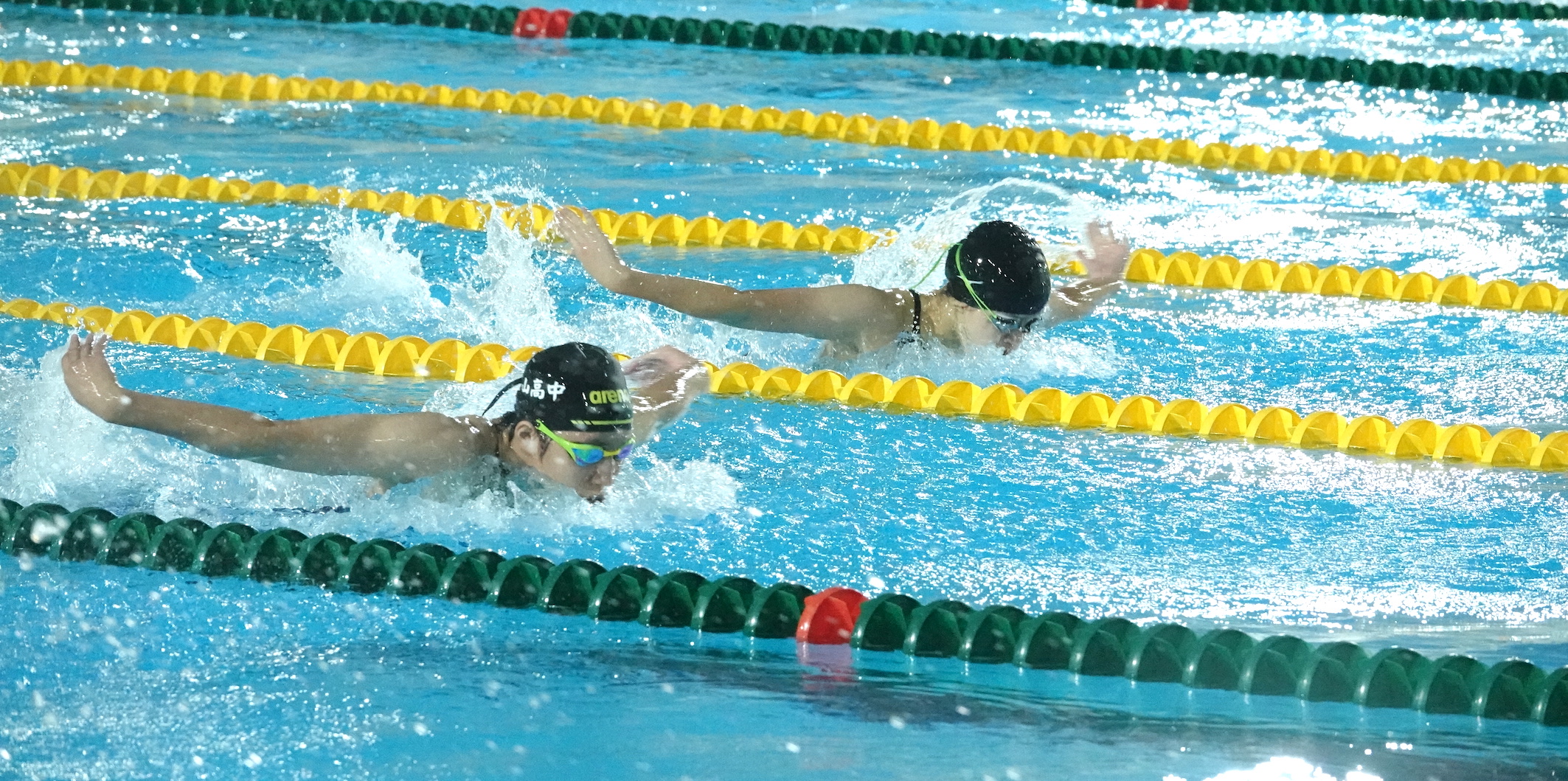 總統盃游泳錦標賽　選手備戰亞運、全國運動會