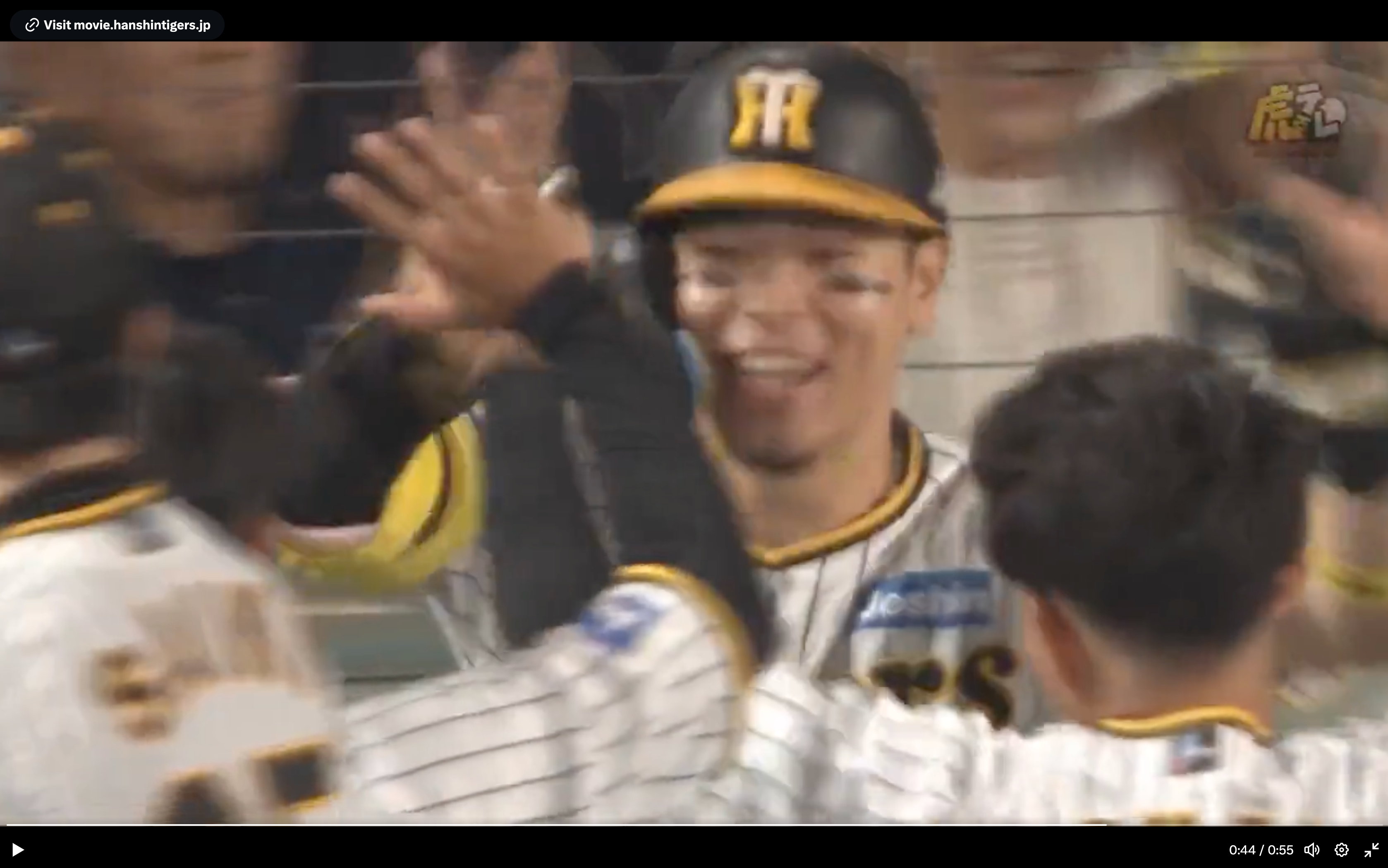 影/佐藤輝明第20轟助陣　阪神奪睽違18年的央聯冠軍