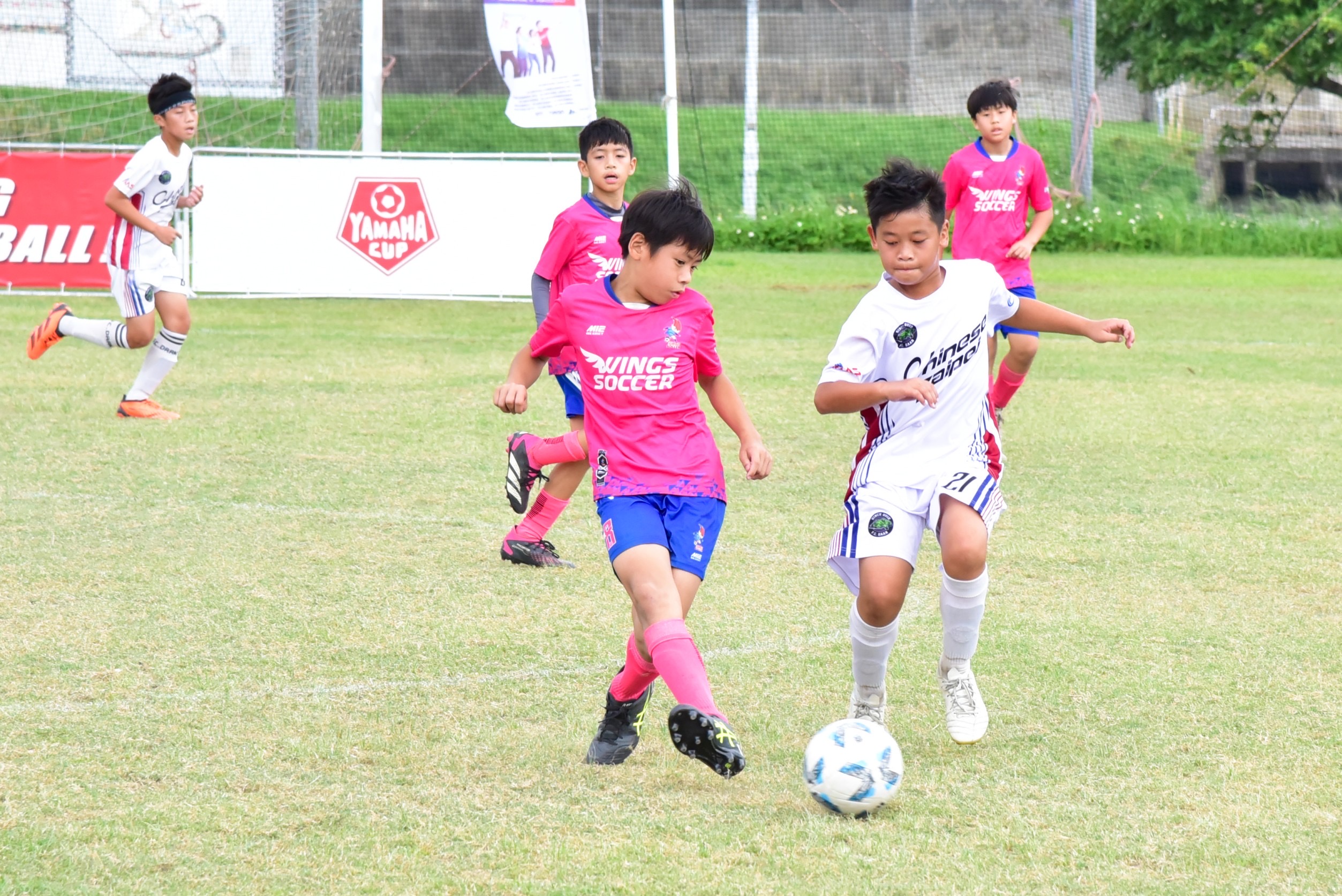 YAMAHA CUP　大安足球俱樂部、樂活鷹藍、Wings Soccer闖全國決賽