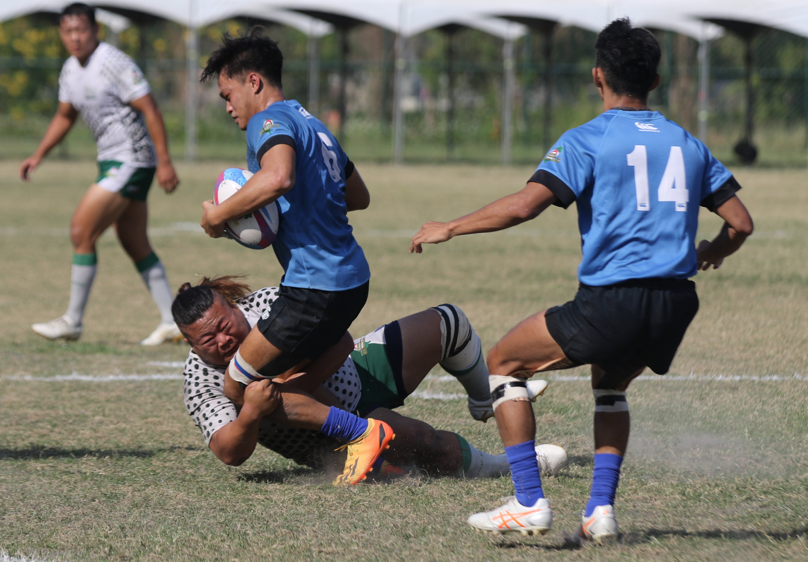 企業橄欖球聯賽季後賽登場　台北元坤尋求連霸