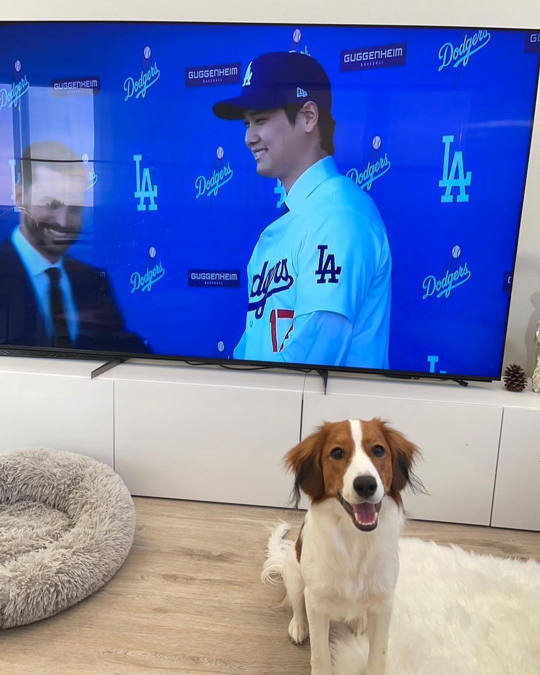 大谷翔平公布小狗名字　但不說曾和哪些球隊接觸