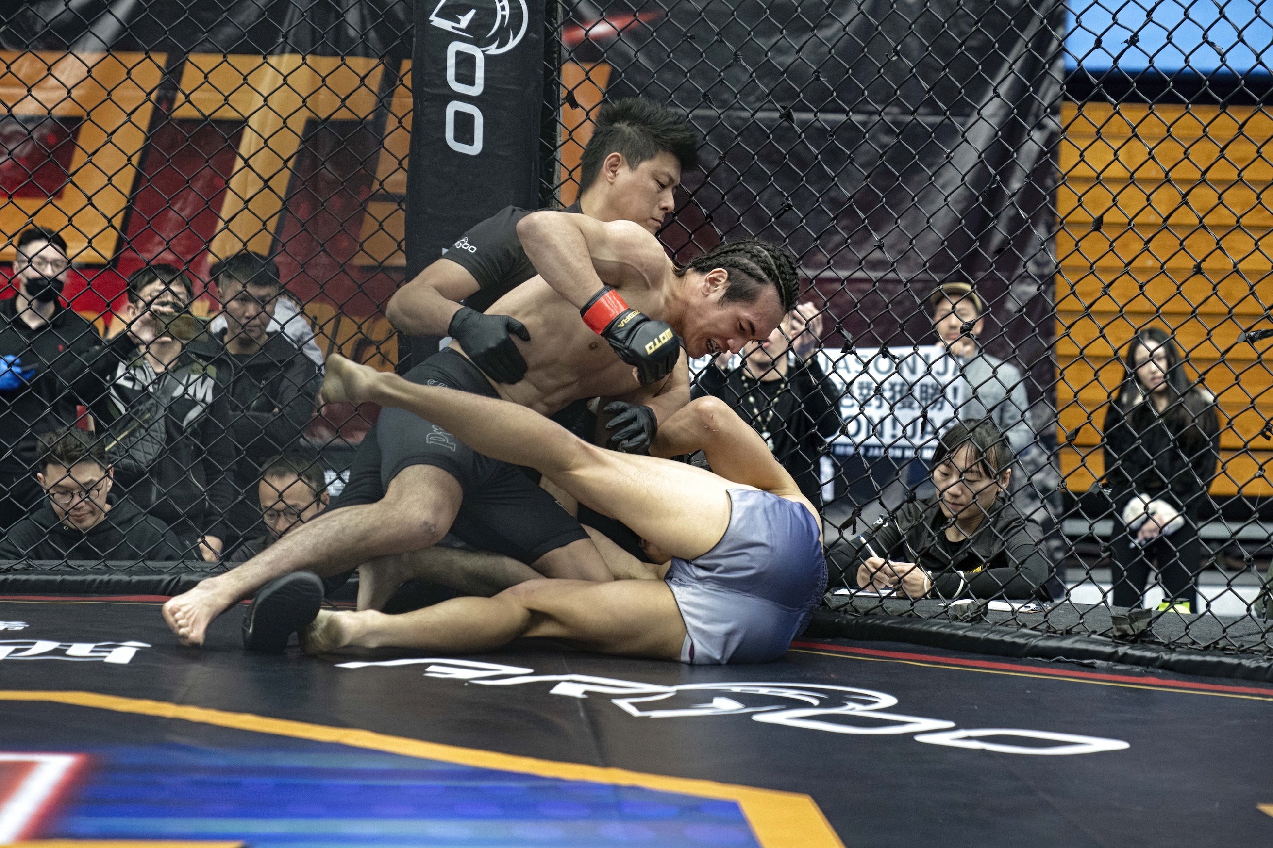 綜合格鬥賽WOTD-ETD系列賽　台、港、美、加等好手齊聚台北