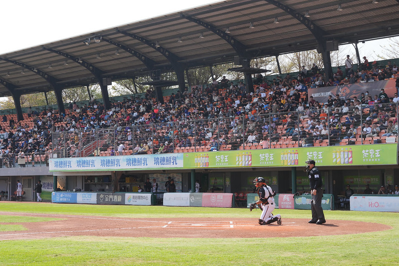 統一春訓》猛獅戰SSG超熱度超過2000人　韓國女性球迷拿長鏡頭相機報到