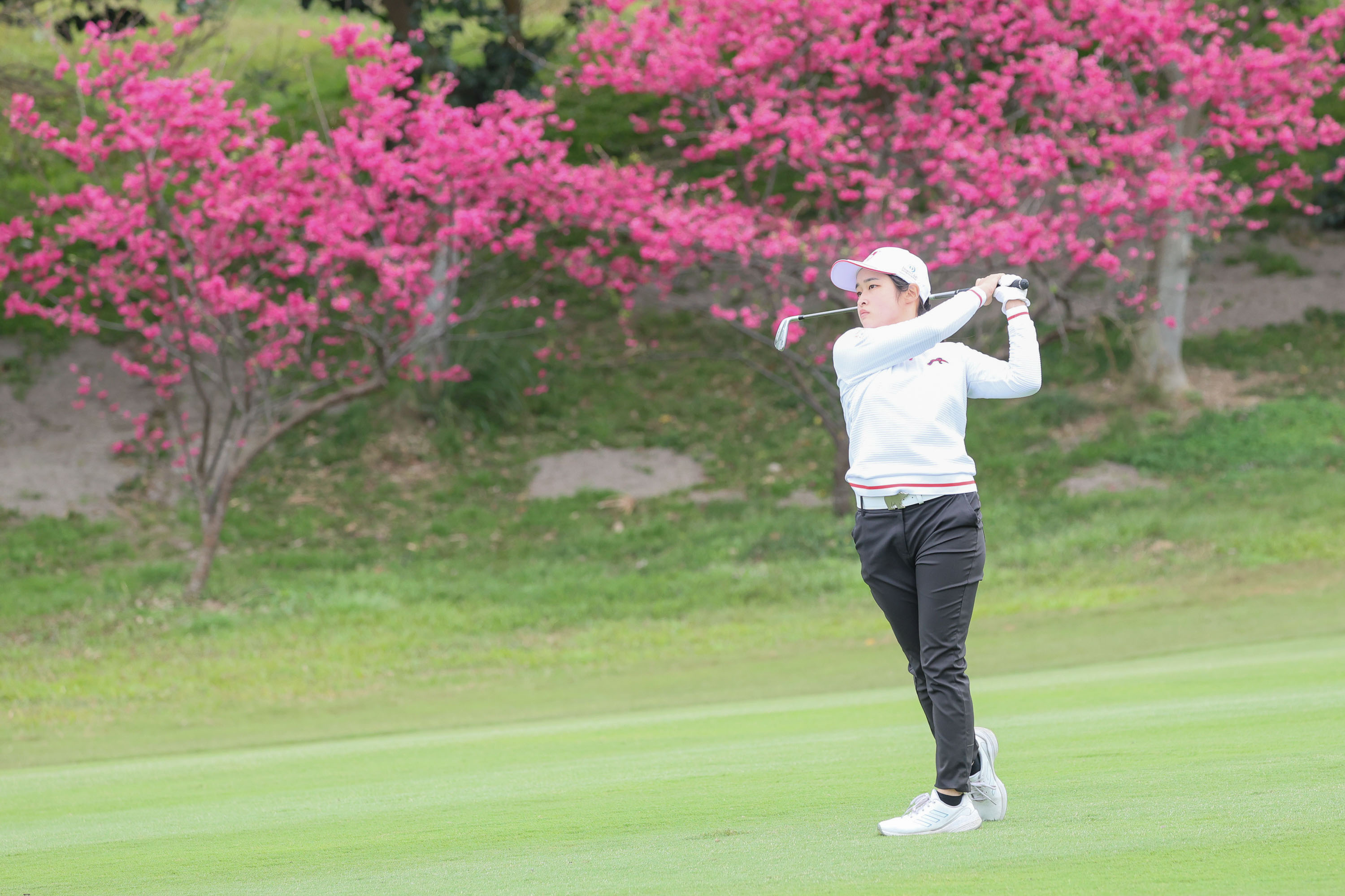 JLPGA》大金蘭花賽次回合　吳佳晏大爆8桿遭淘汰