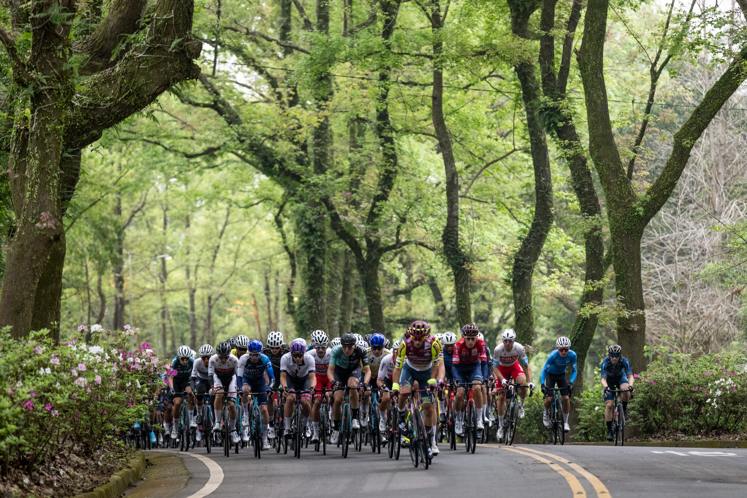 自由車環台賽》桃園市站以色列車隊蟬聯單站　台將盧紹軒展鬥志