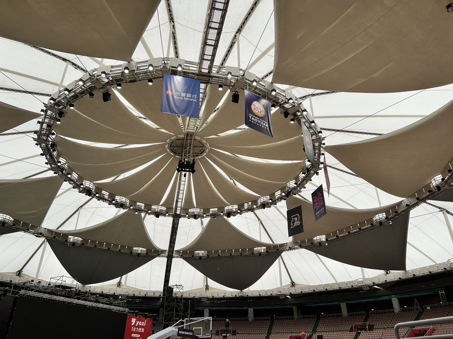 籃球》雲豹與領航猿共用主場　季後賽協調達共識