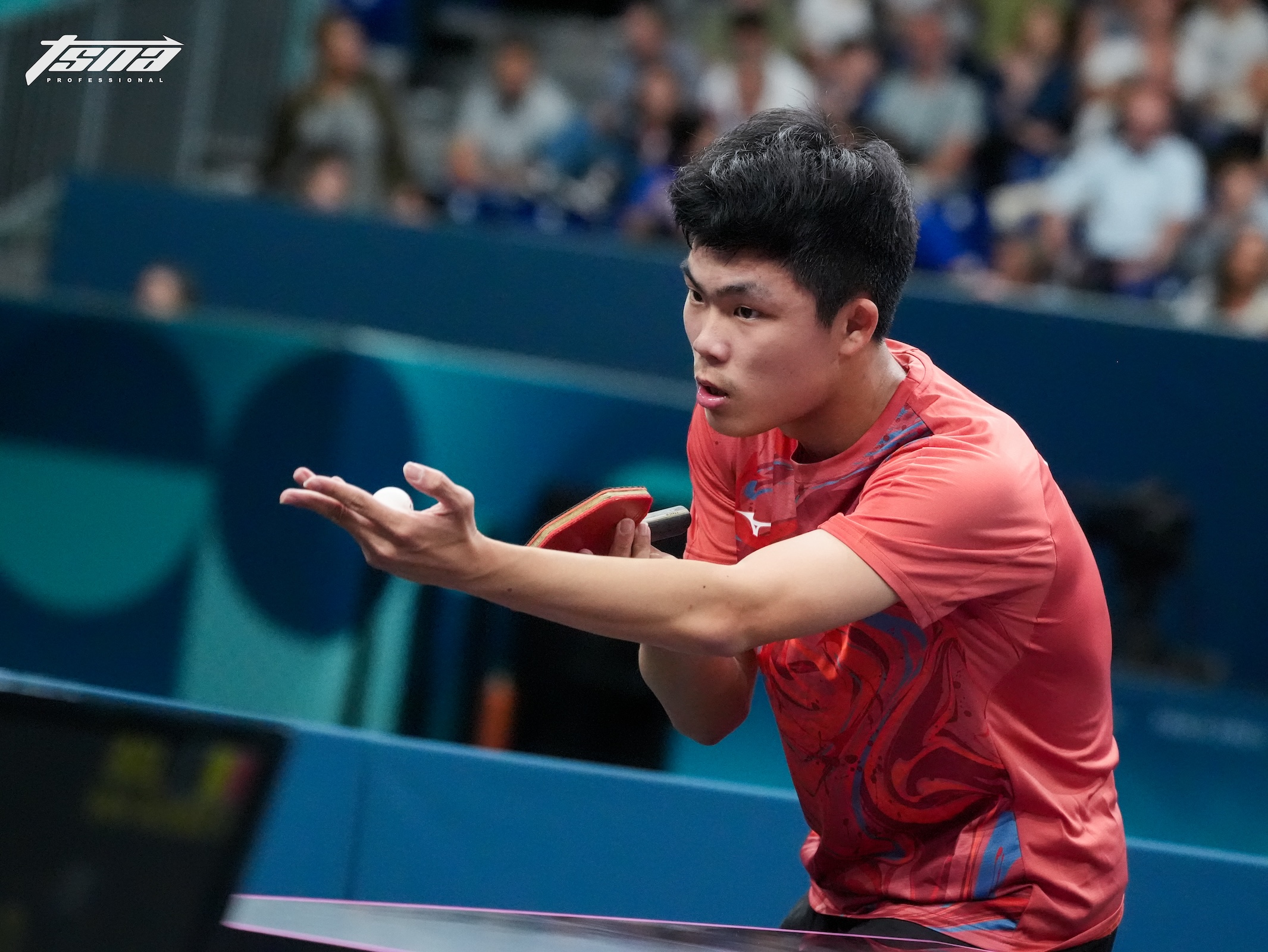 帕運》桌球隊全員奪牌　男單陳柏諺晉級4強銅牌起跳　