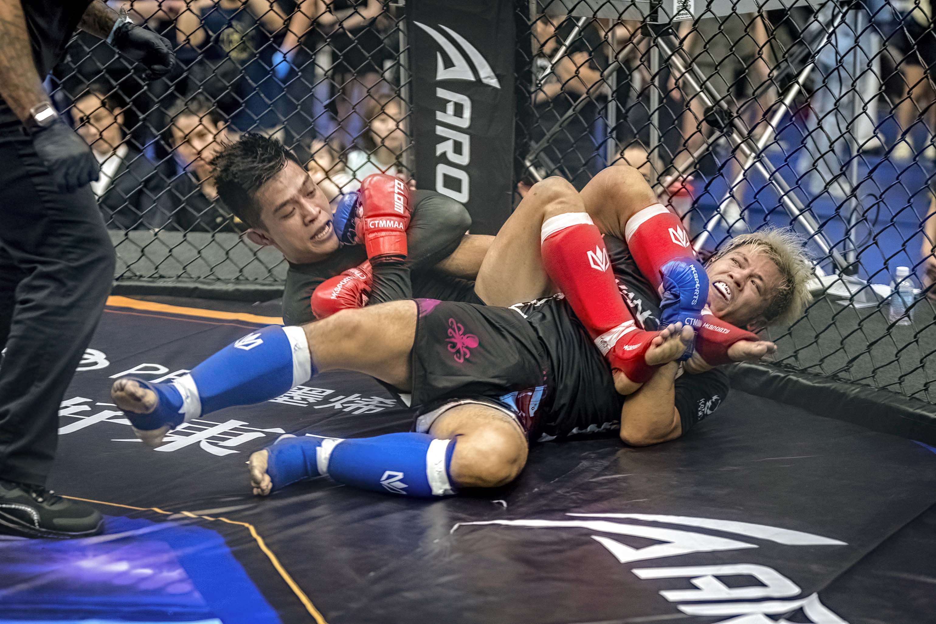 格鬥大賽》臉書執行長陪練員「鯊魚」李學顥　提前獲勝