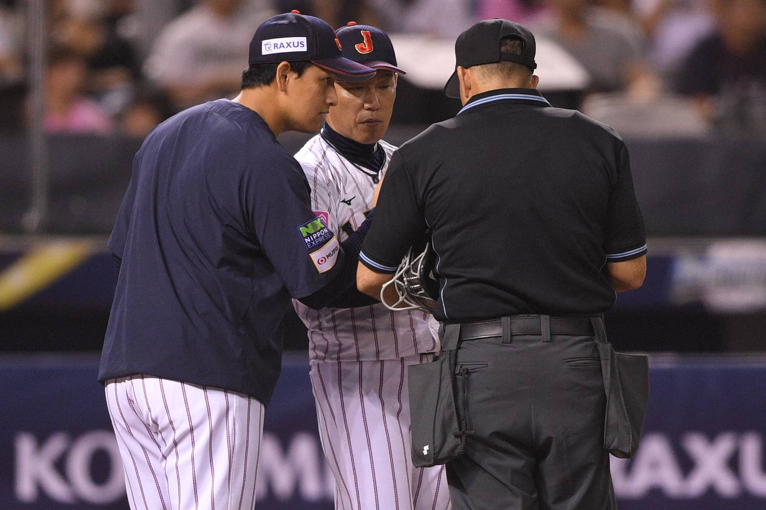 12強賽》中華隊已經不一樣了！　井端弘和：要小心陳傑憲