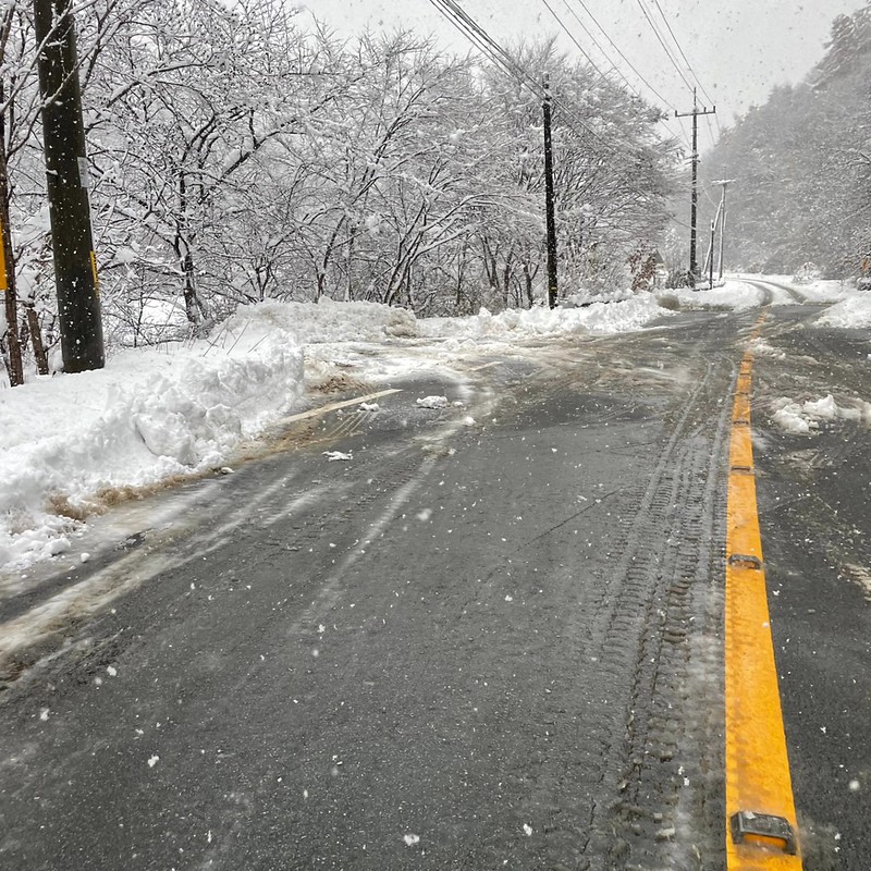 KBO》韓國連日暴雪　KIA秋訓團先飛台灣、英雄留高雄