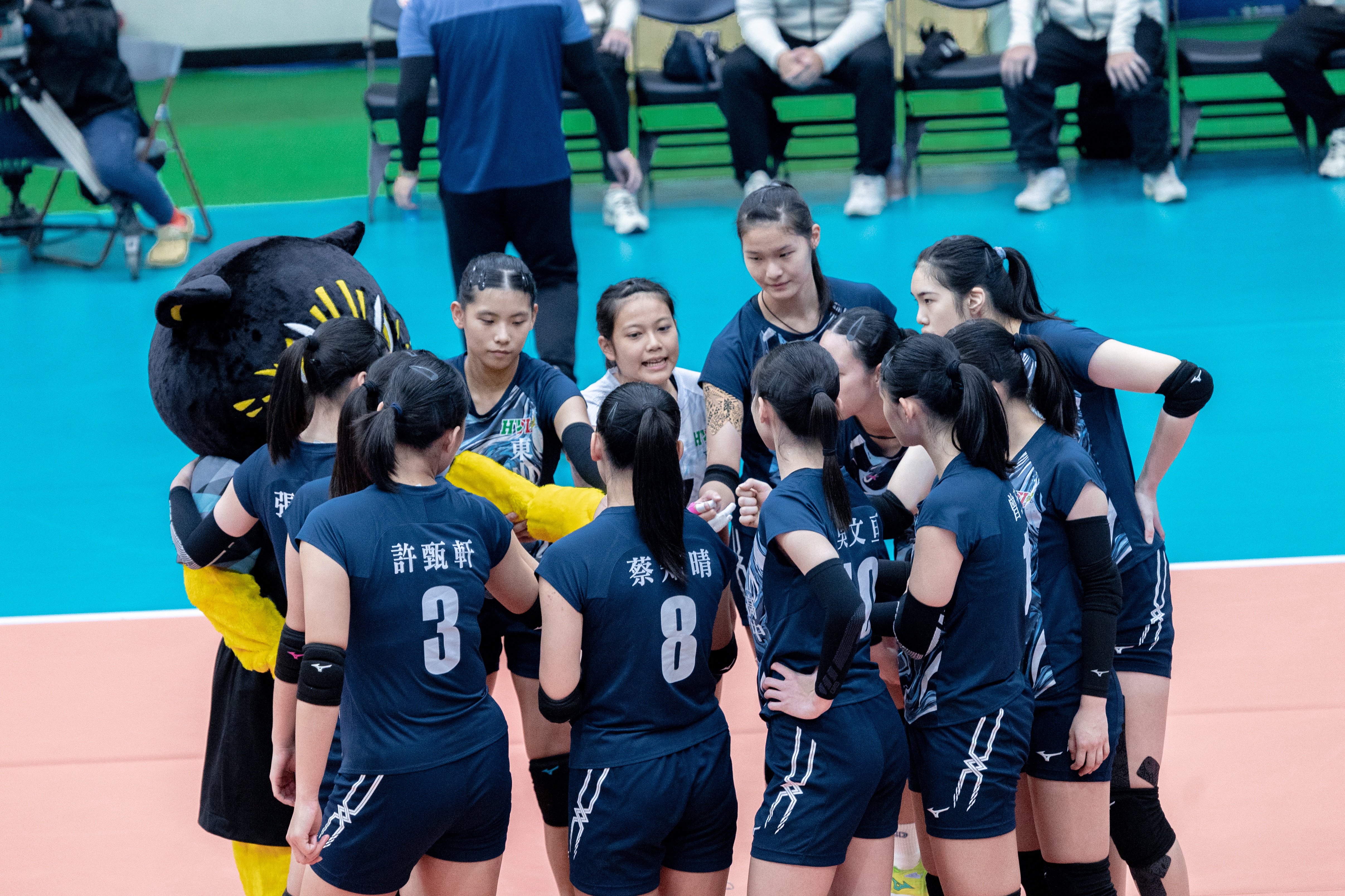 HVL》衛冕軍東山直落3華僑　1局未失收複賽全勝