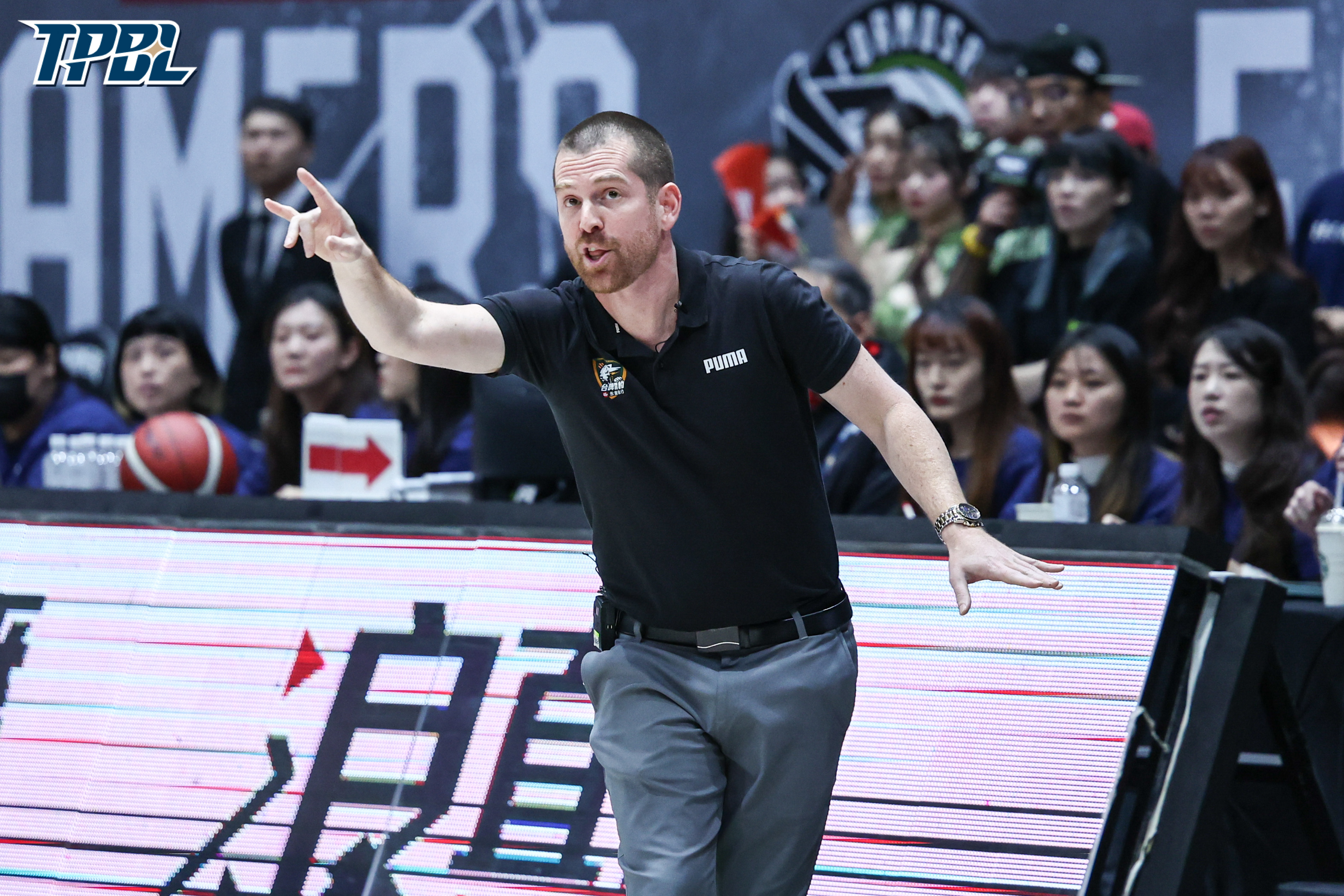 TPBL》想跟球員、裁判溝通　雲豹外籍教練學中文