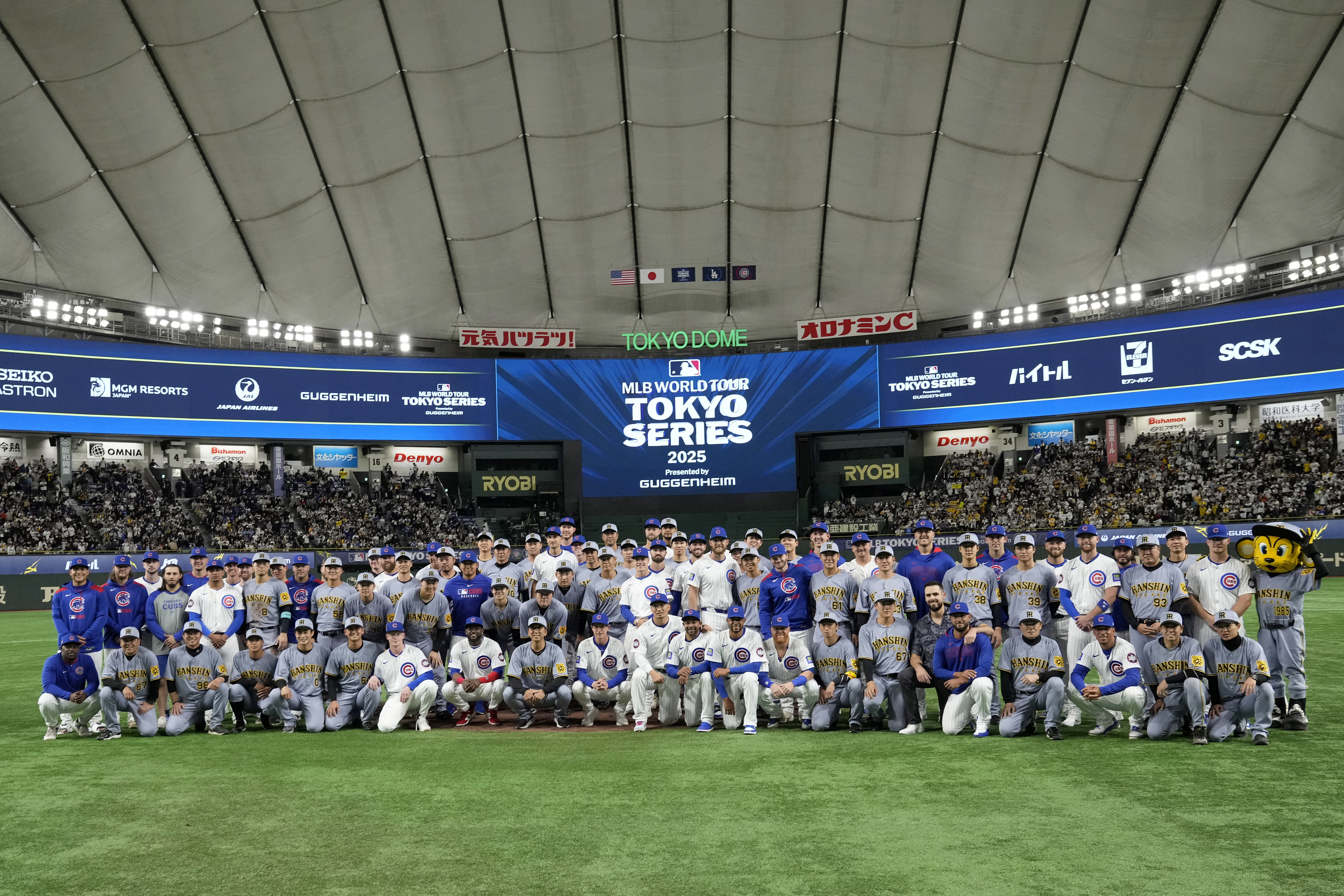 MLB海外賽》小熊3安遭阪神完封0比3輸球　鈴木誠也斷棒敲安全場掌聲