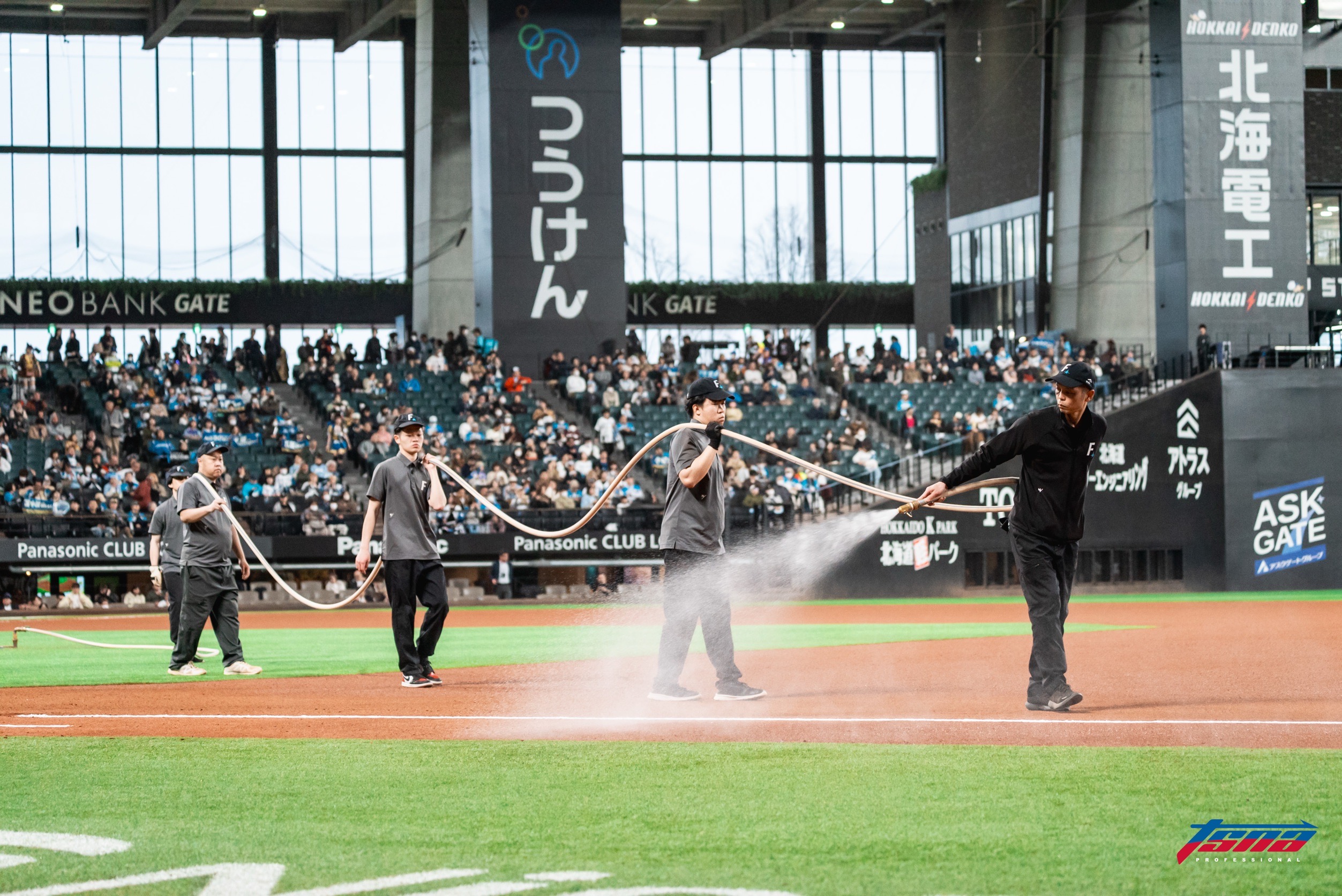 古林首秀》火腿主場為何可以用天然草皮？　用溫度控制跟生長燈是關鍵